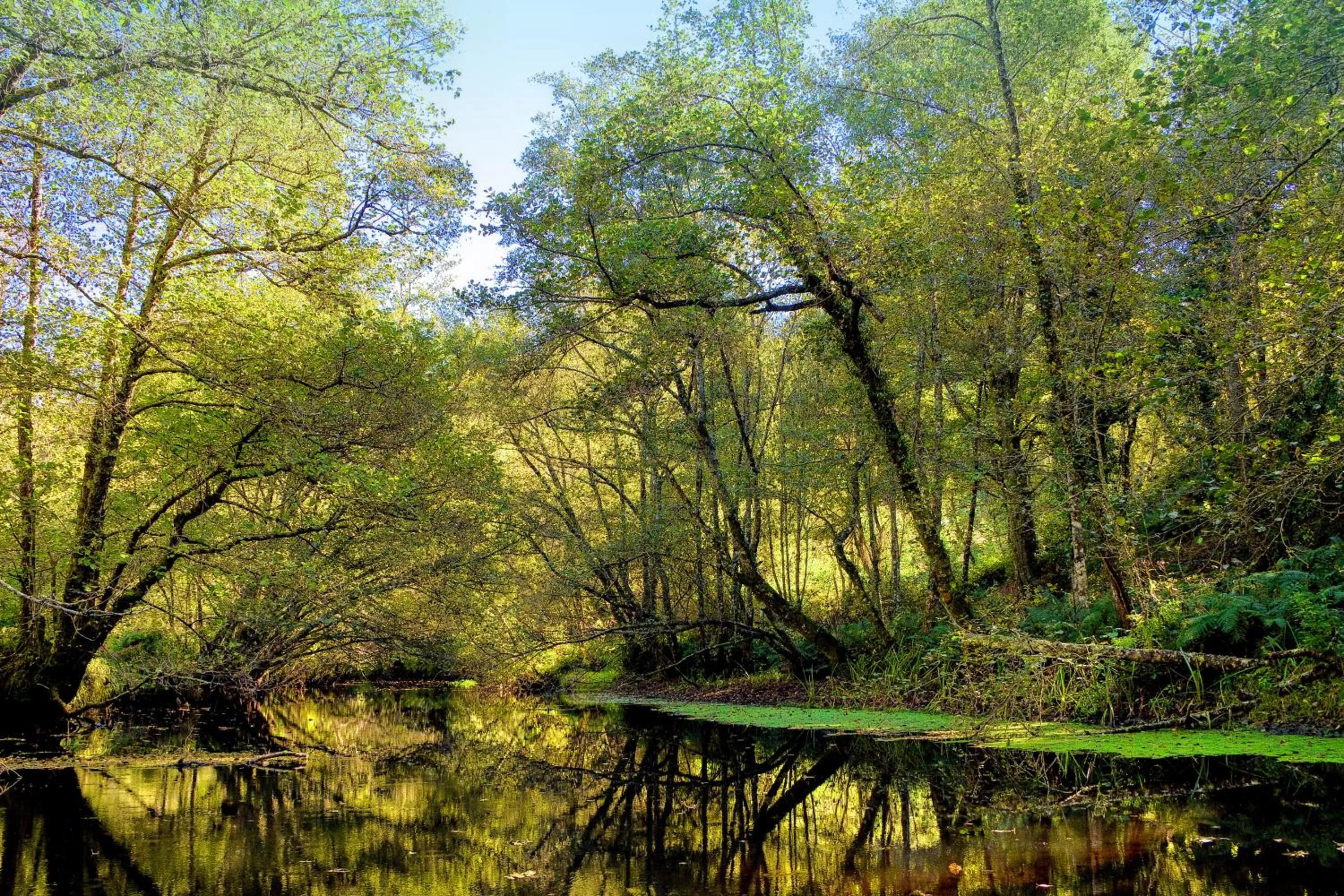 Area and facilities in Hotel Balneario Río Pambre