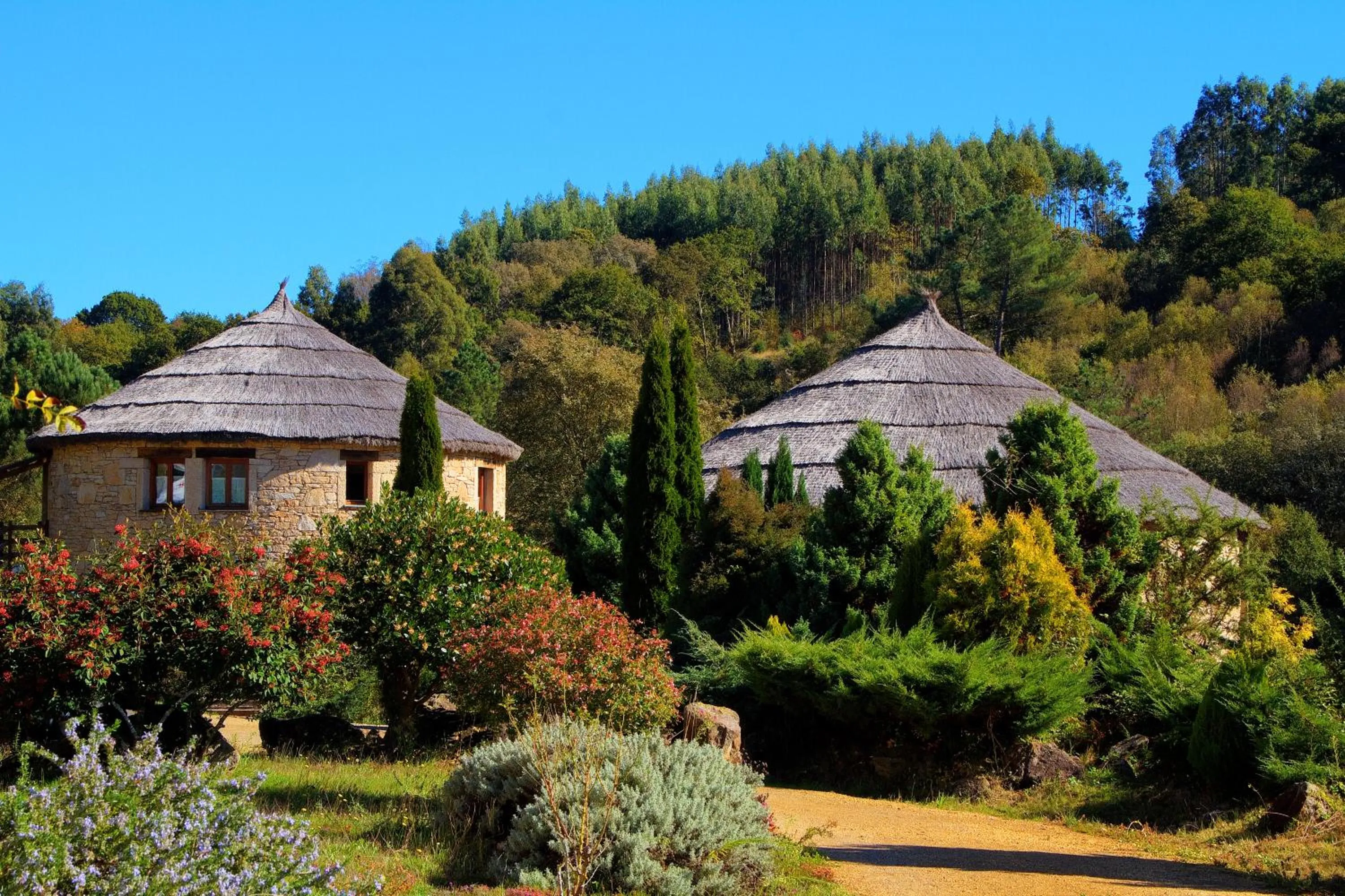 Area and facilities in Hotel Balneario Río Pambre