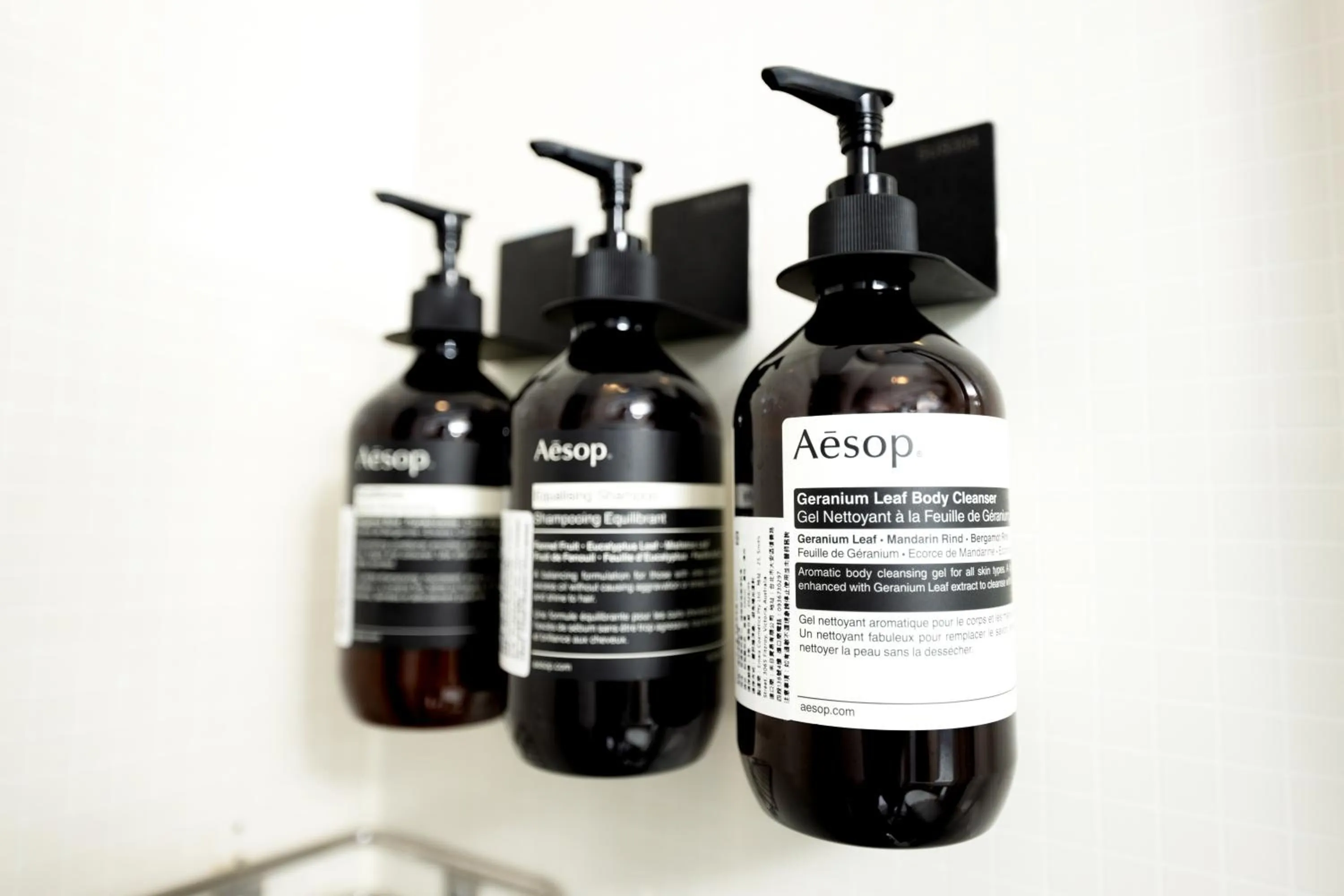 Text overlay in Cat Tail Pocket Inn