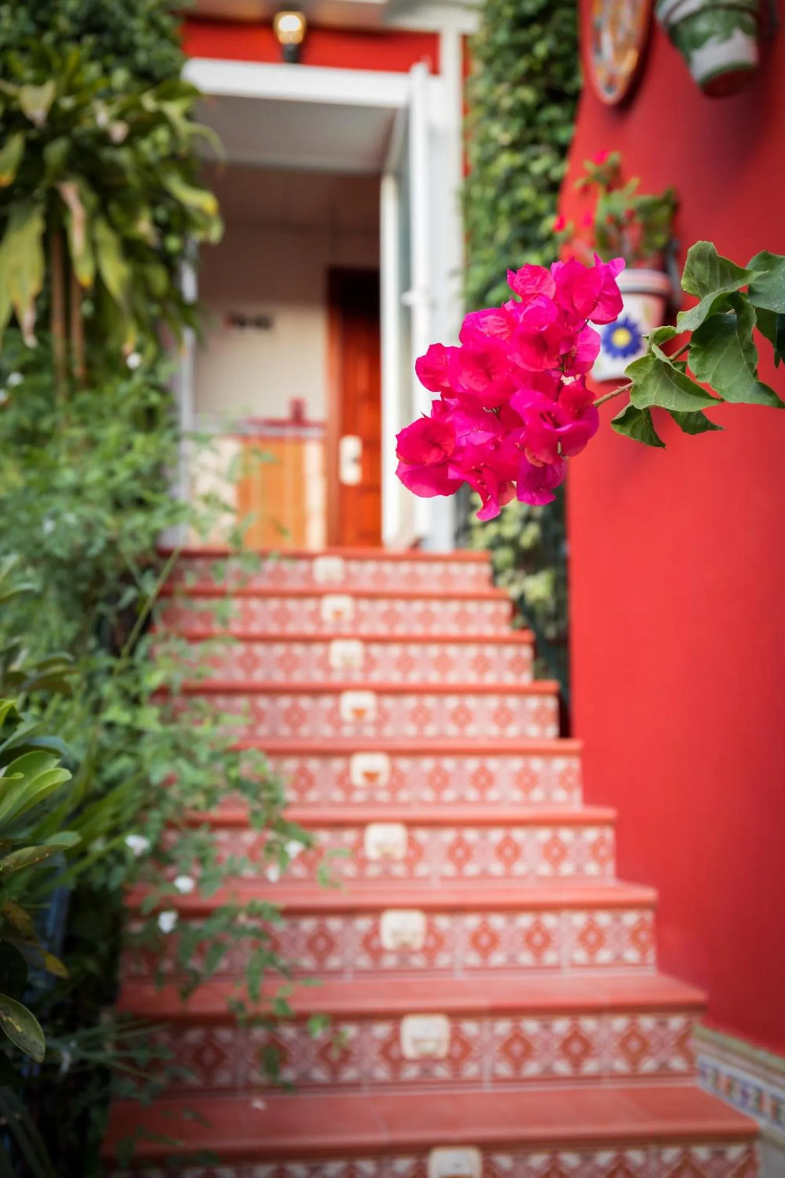 Patio in Hotel Romerito