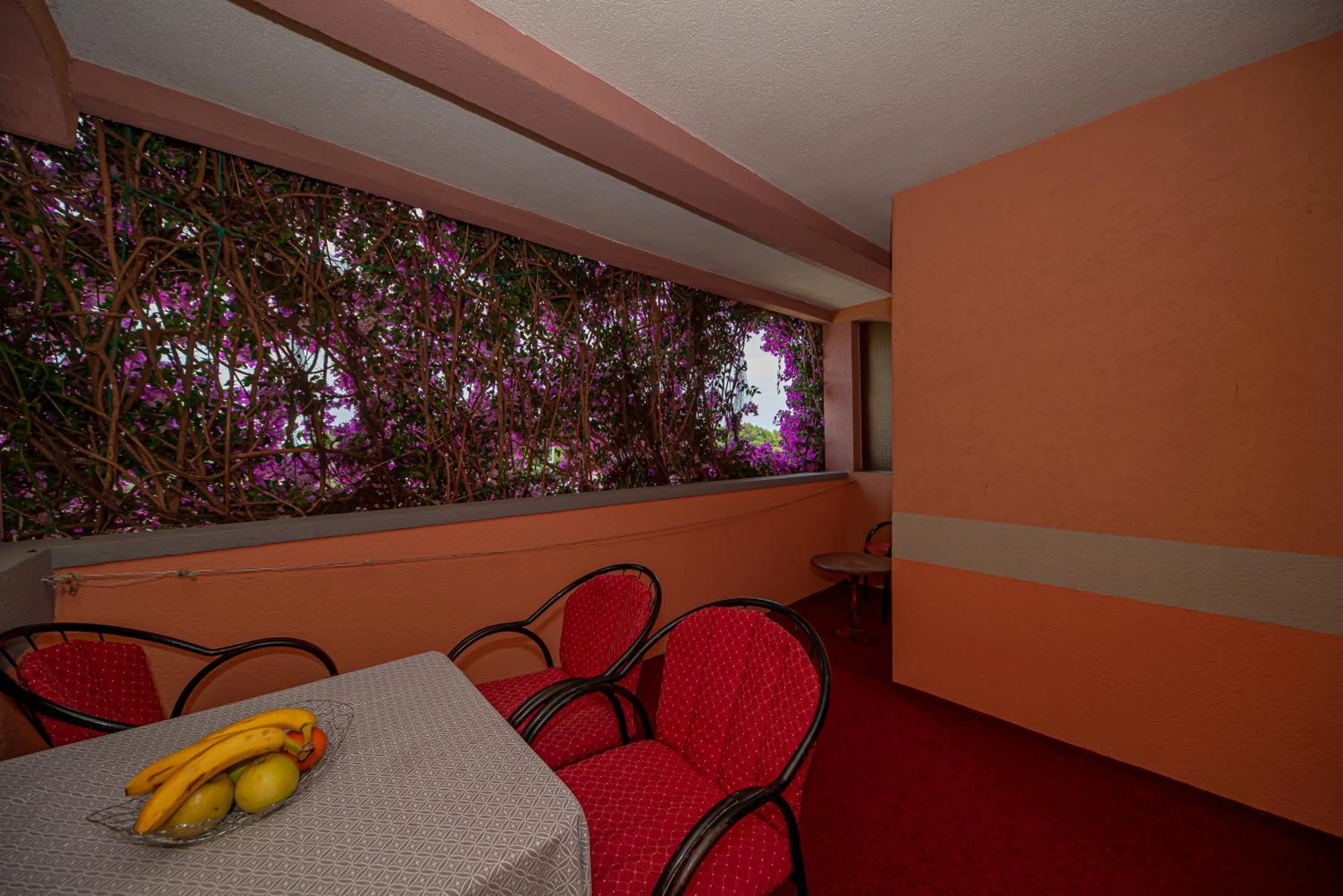 Apartment Marcic