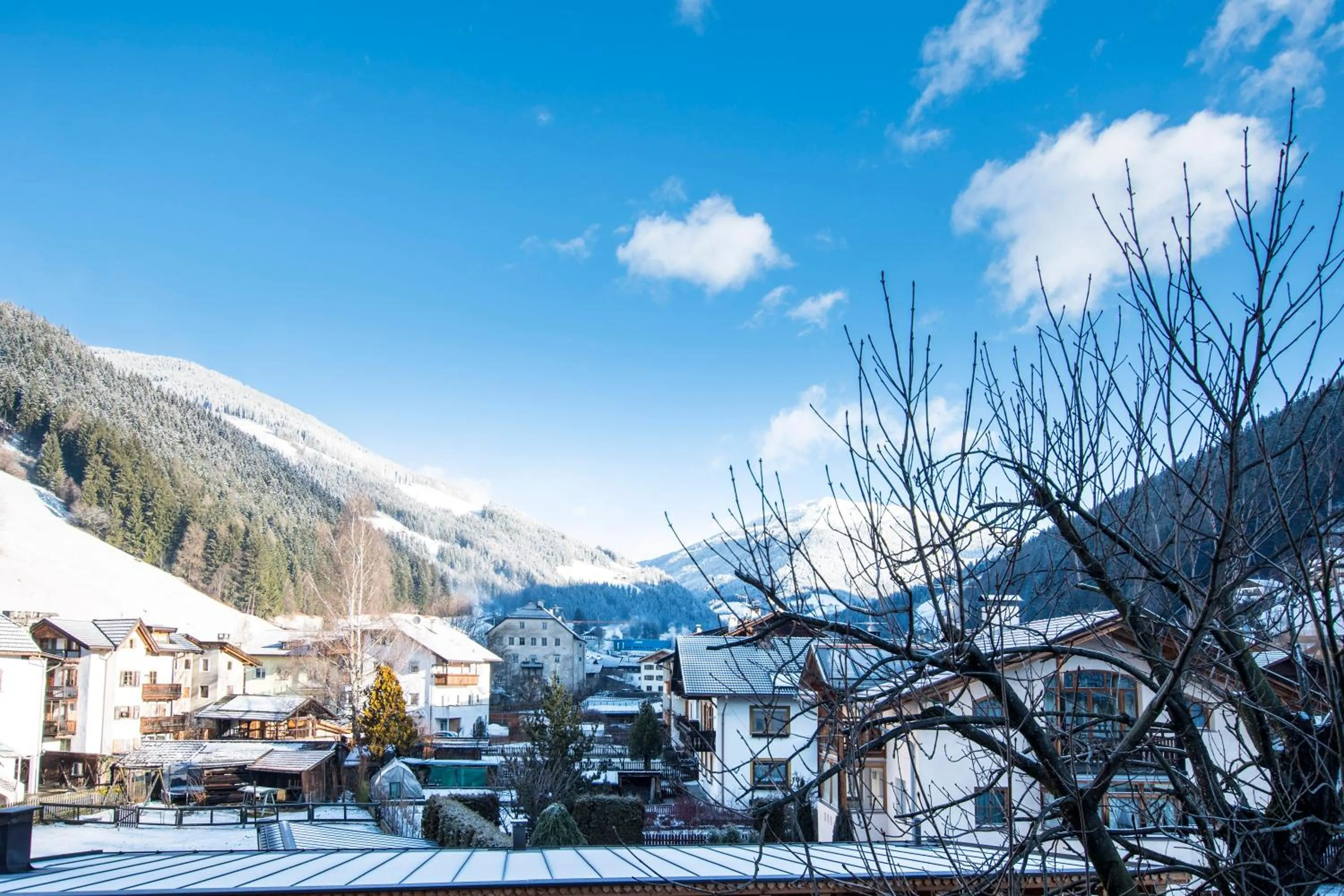 Balcony/Terrace in Hotel Gasthof Höllriegl