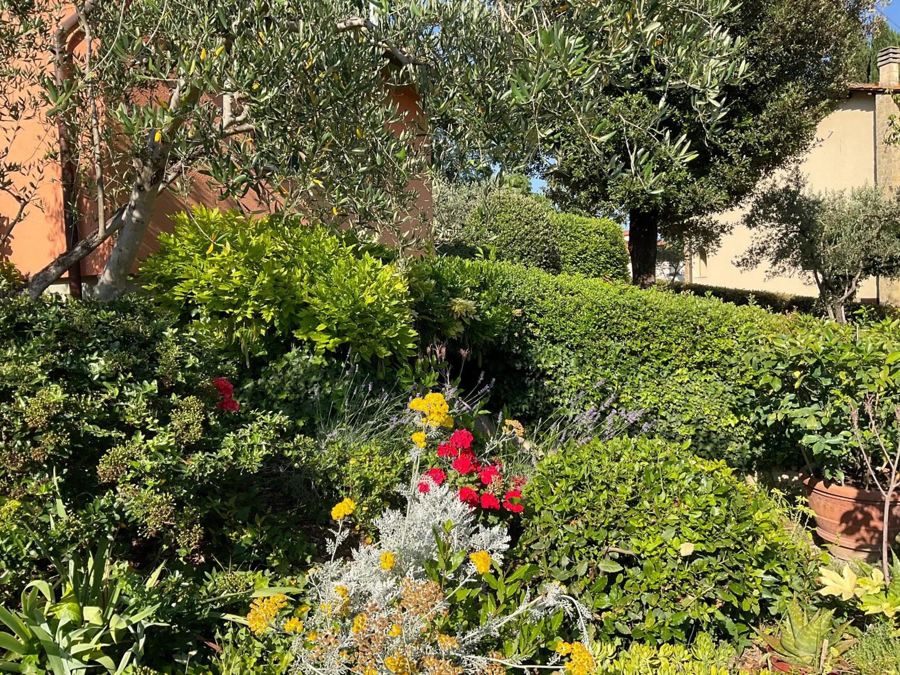 Garden in Villa Il Borraccio - Apartments Azalea and Begonia