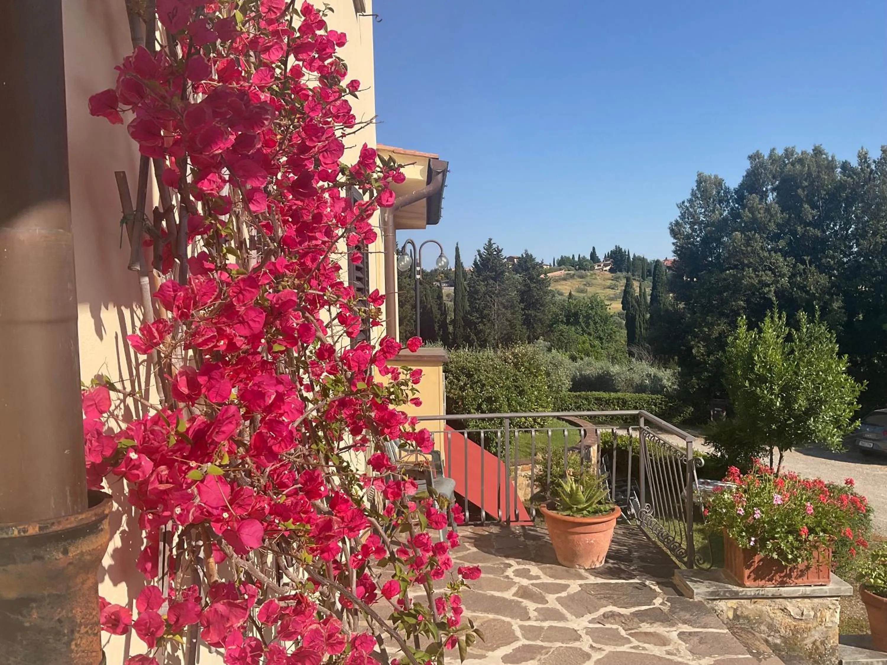 Garden in Villa Il Borraccio - Apartments Azalea and Begonia