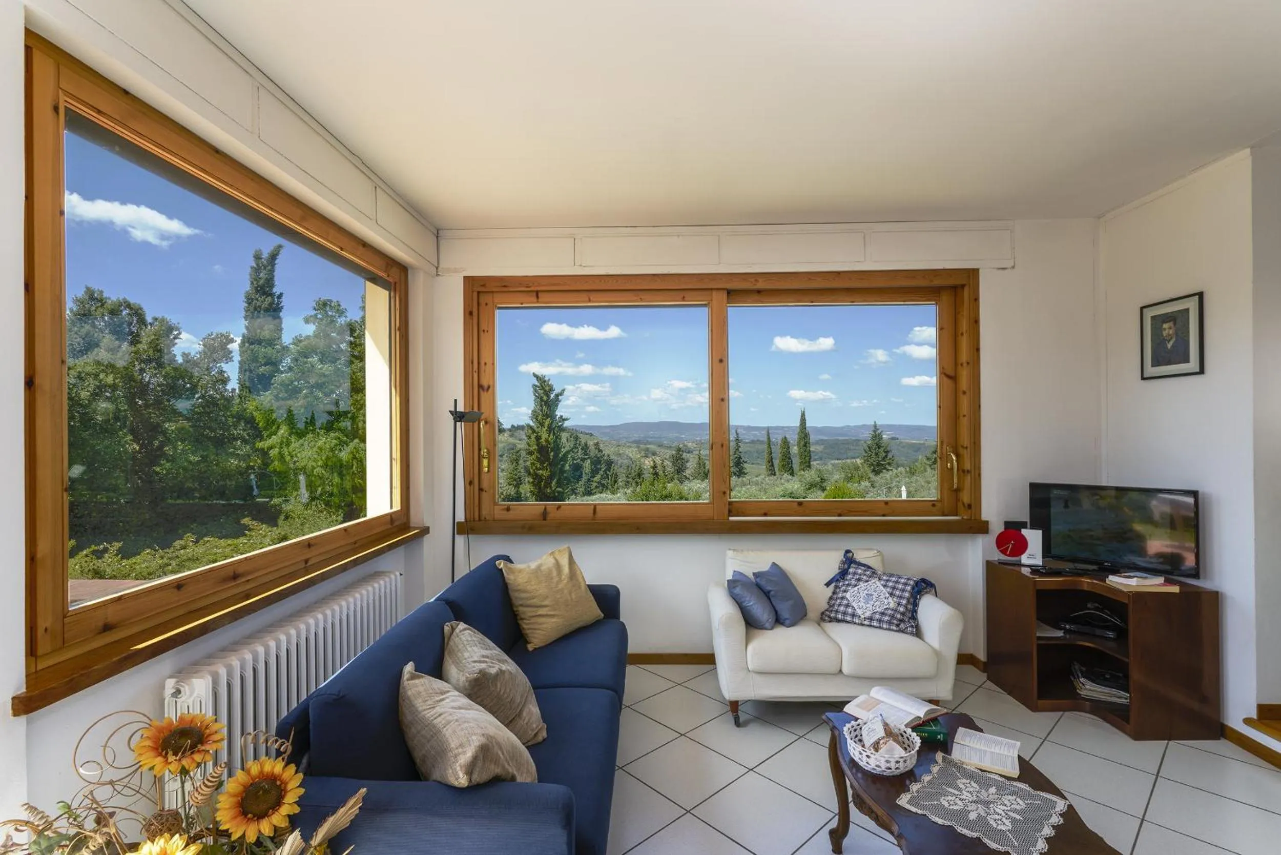 TV and multimedia in Villa Il Borraccio - Apartments Azalea and Begonia