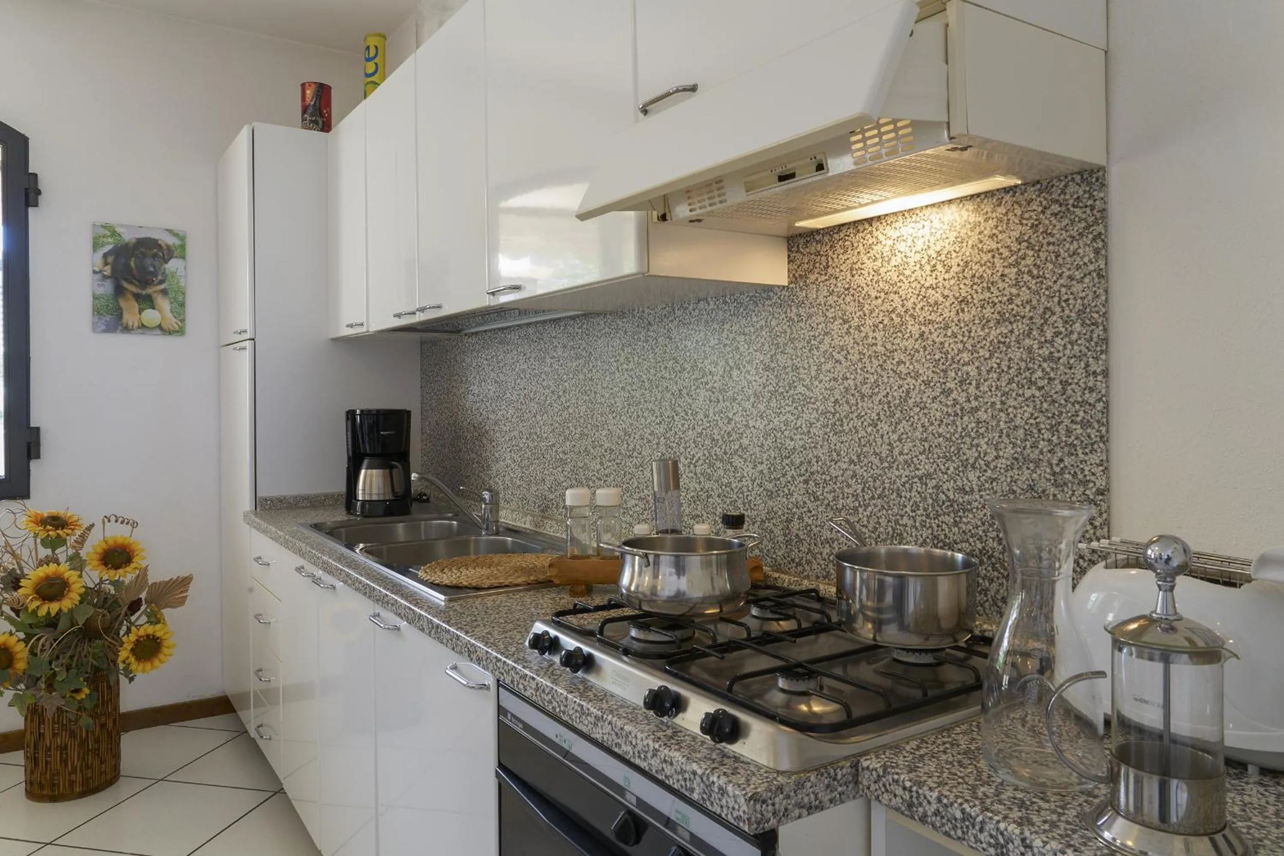 Kitchen or kitchenette in Villa Il Borraccio - Apartments Azalea and Begonia
