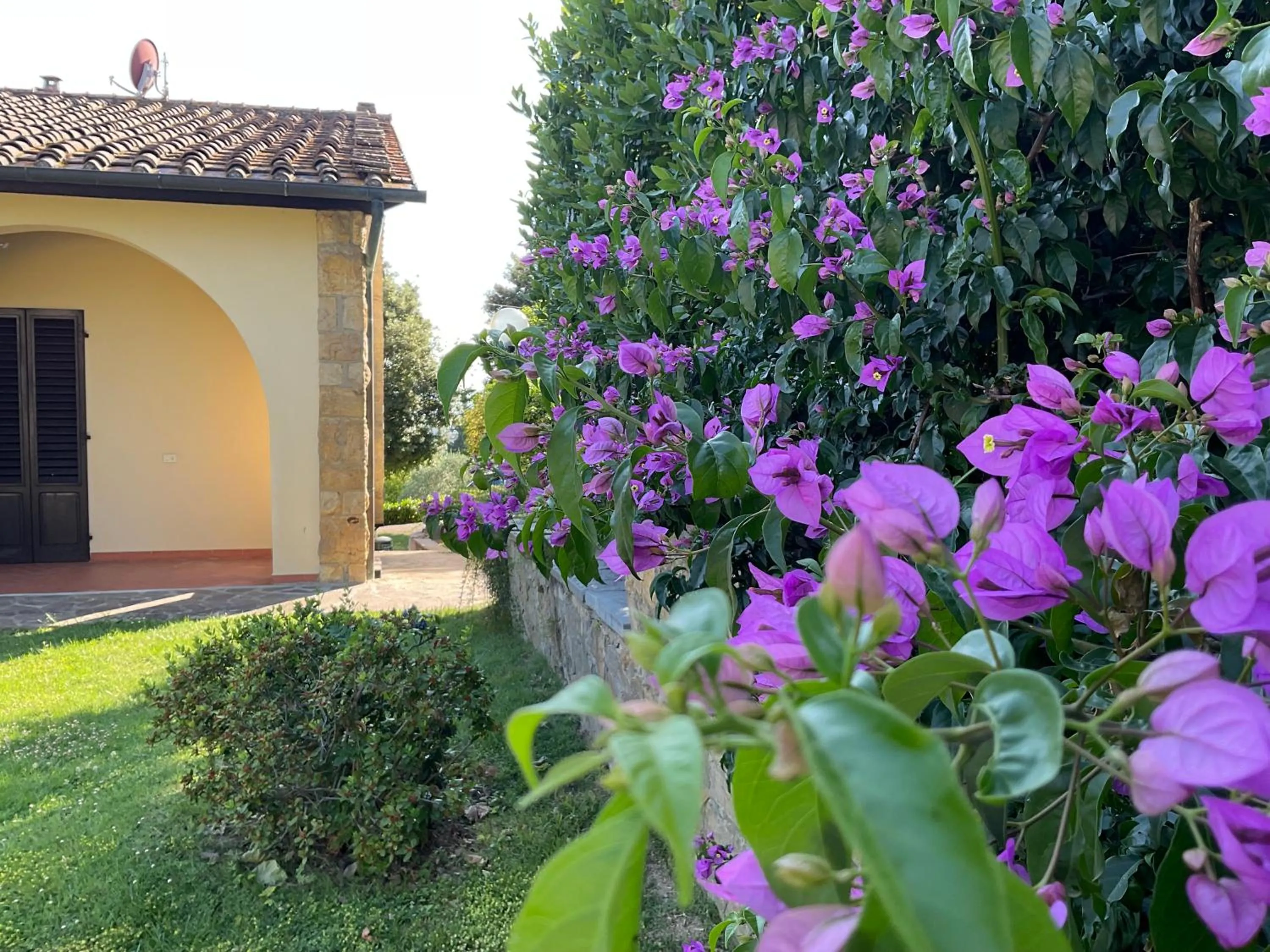 Garden in Villa Il Borraccio - Apartments Azalea and Begonia