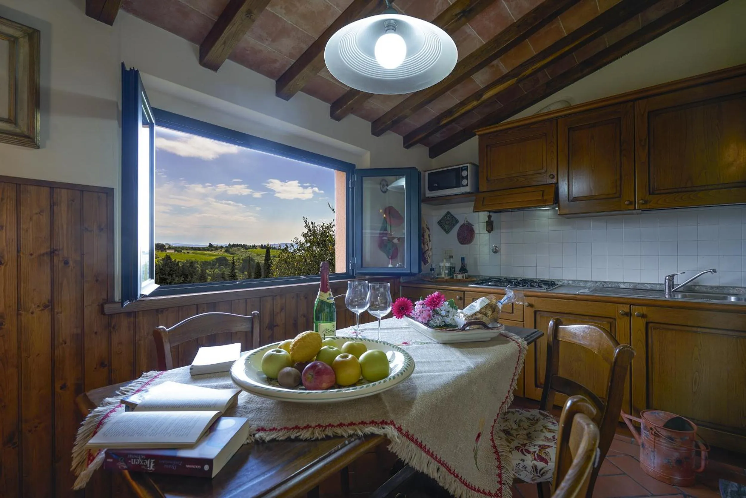 Kitchen or kitchenette in Villa Il Borraccio - Apartments Azalea and Begonia