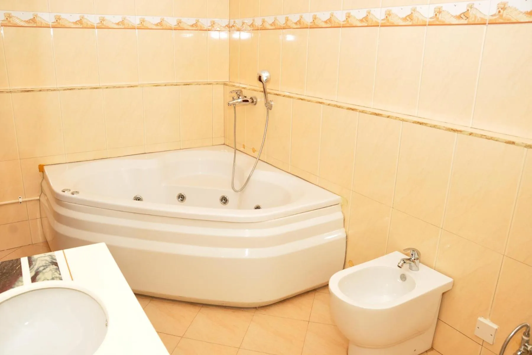 Bathroom in Biraj International Hotel