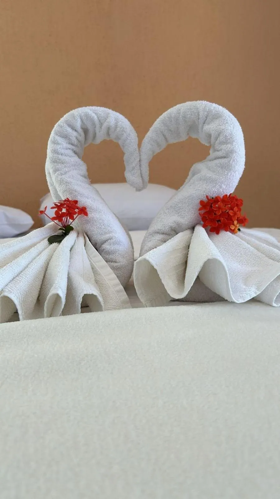 Photo of the whole room, Bed in Pousada Aruna Eco Buzios