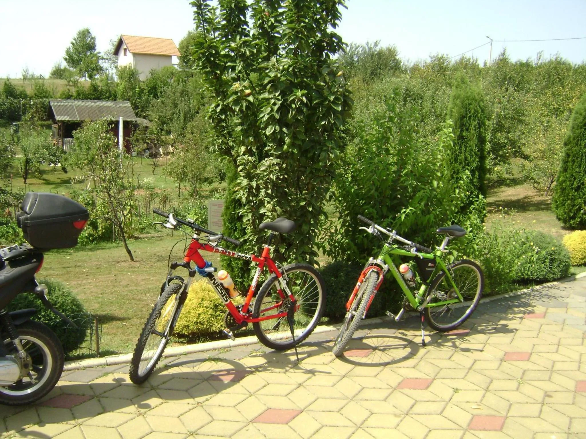 Spring in Resort Čokori