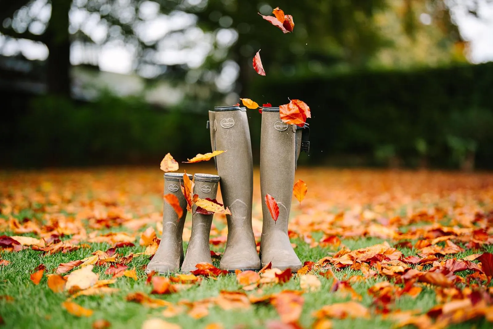 Natural landscape in The Lygon Arms - an Iconic Luxury Hotel