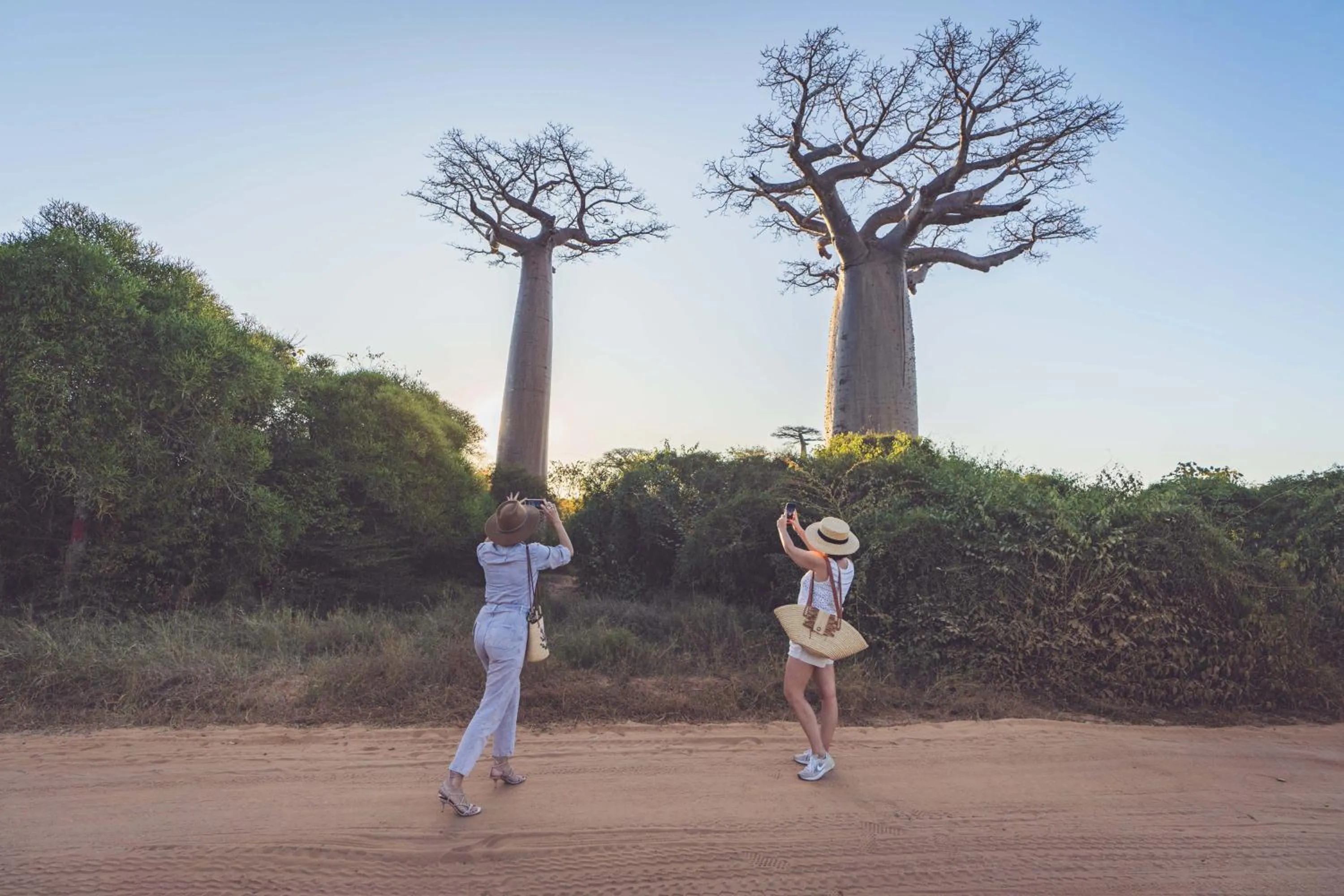 Hôtel Palissandre MORONDAVA