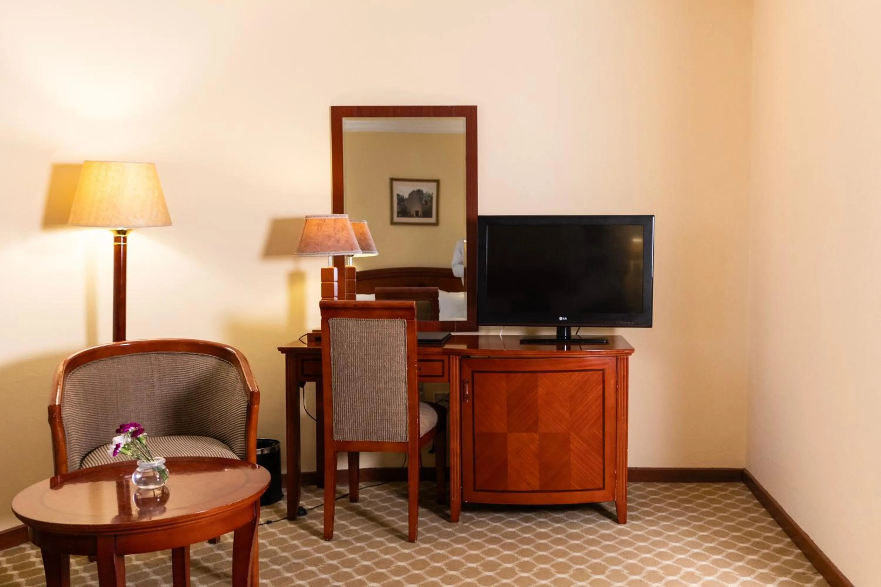 TV and multimedia in Dreamliner Hotel