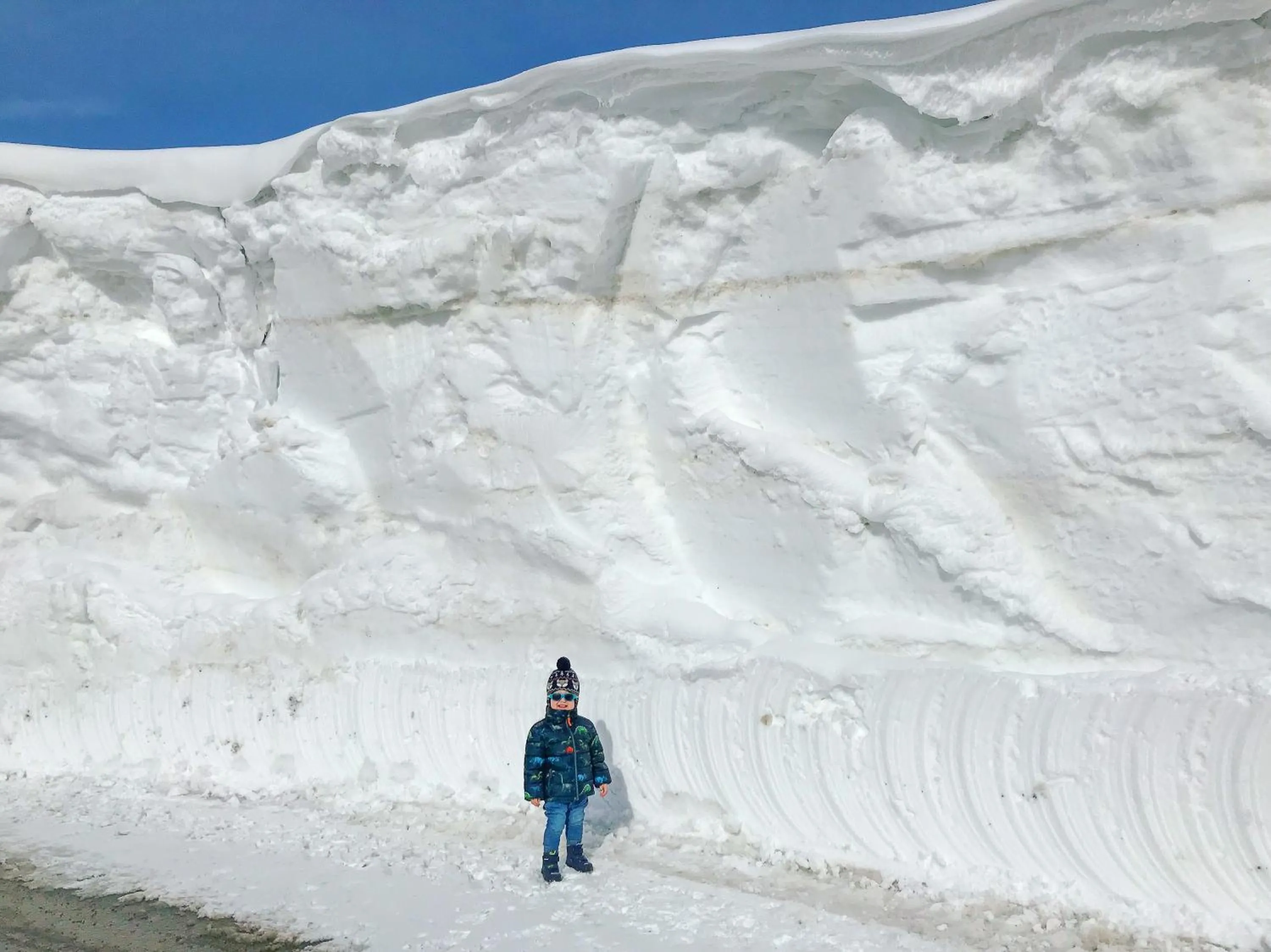 Natural landscape in Andi's Skihotel