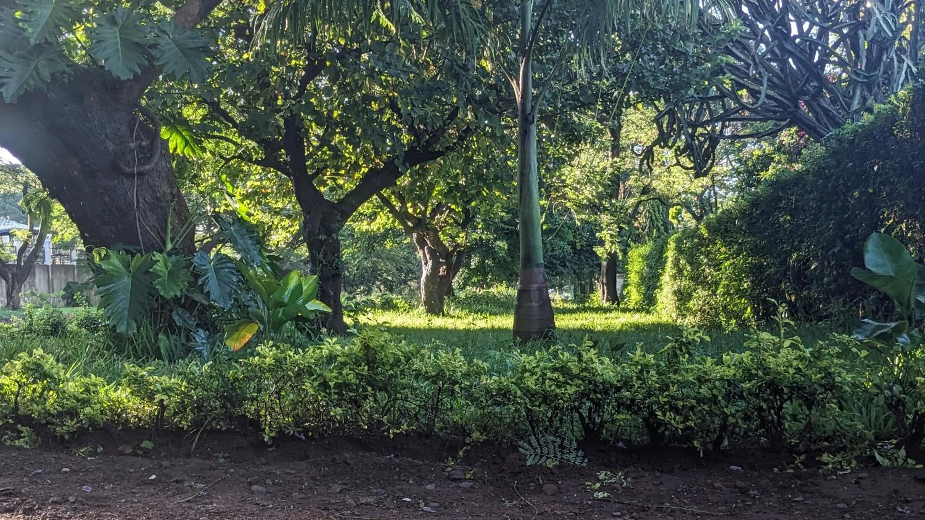 Day in JACARANDA HOMESTAY