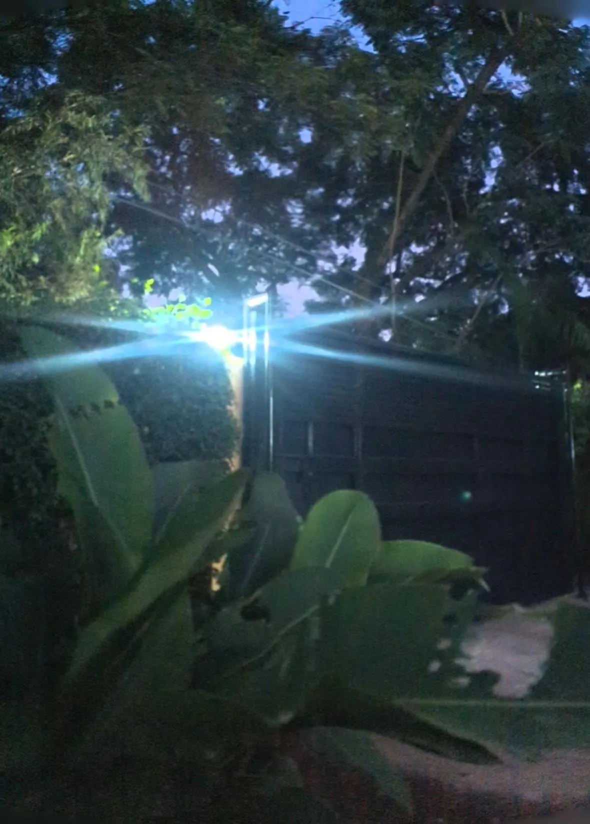 Night in JACARANDA HOMESTAY