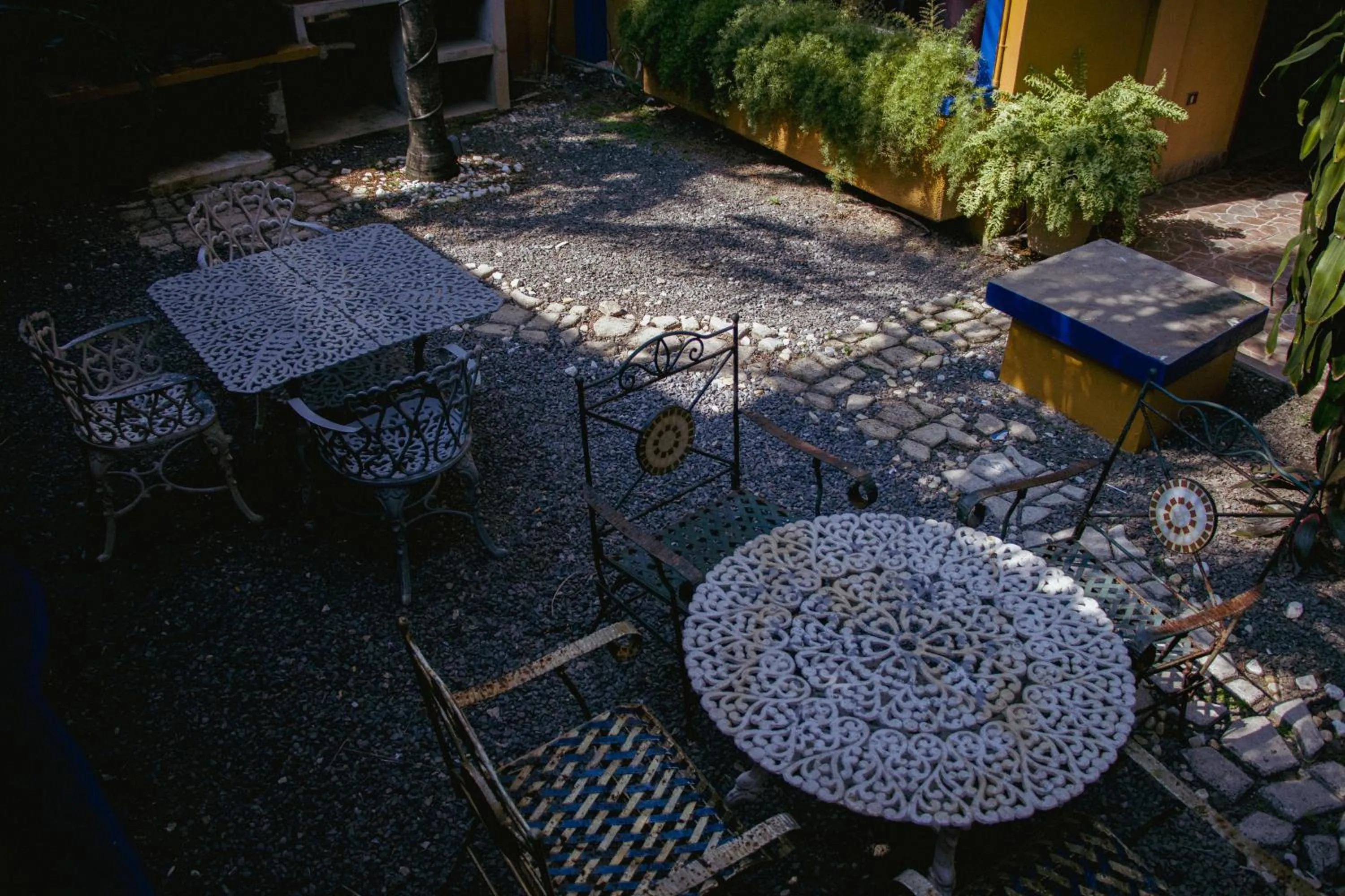 Garden in Hotel Quetzalcóatl