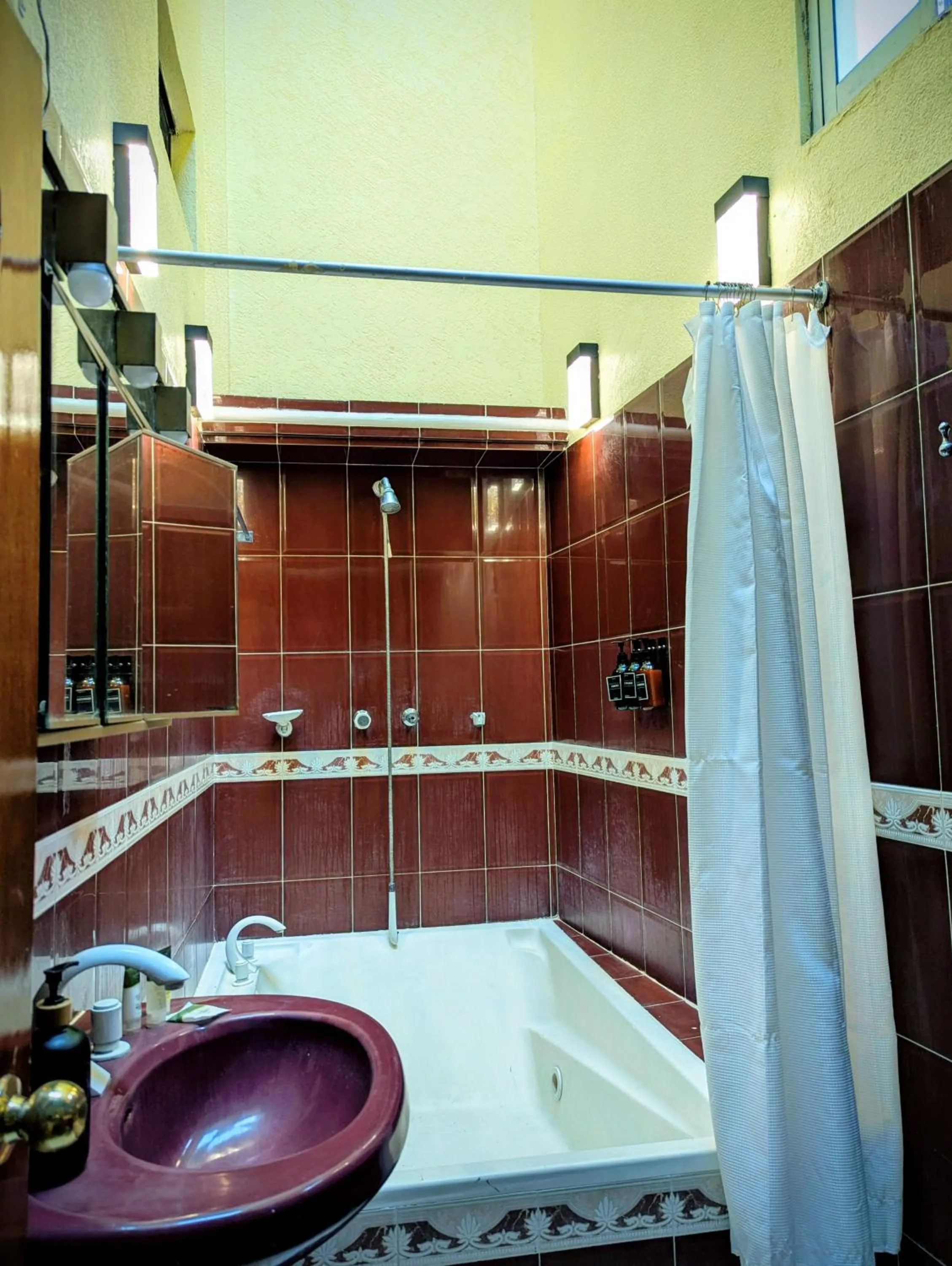 Shower in Hotel Quetzalcóatl