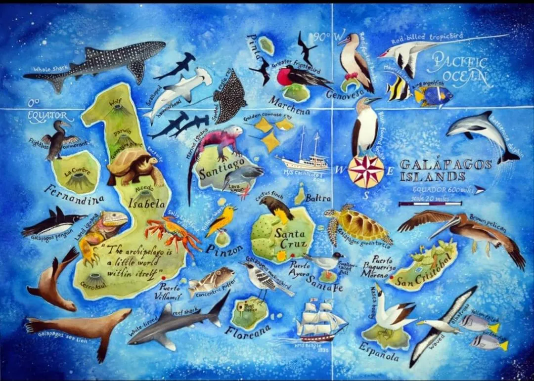 Property building in Hostal Casa Edén