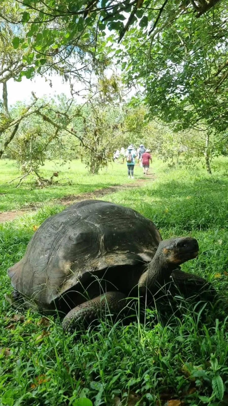 Natural landscape in Hostal Casa Edén