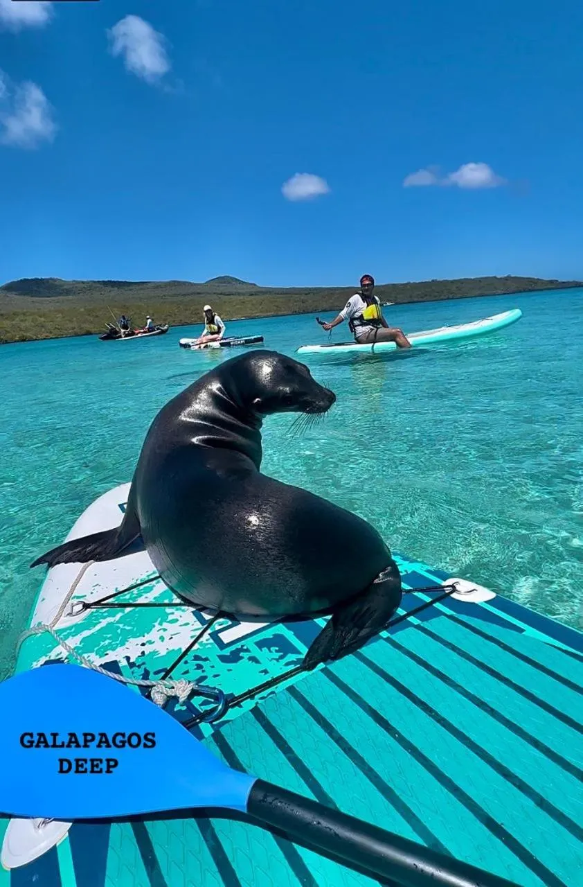 Natural landscape in Hostal Casa Edén