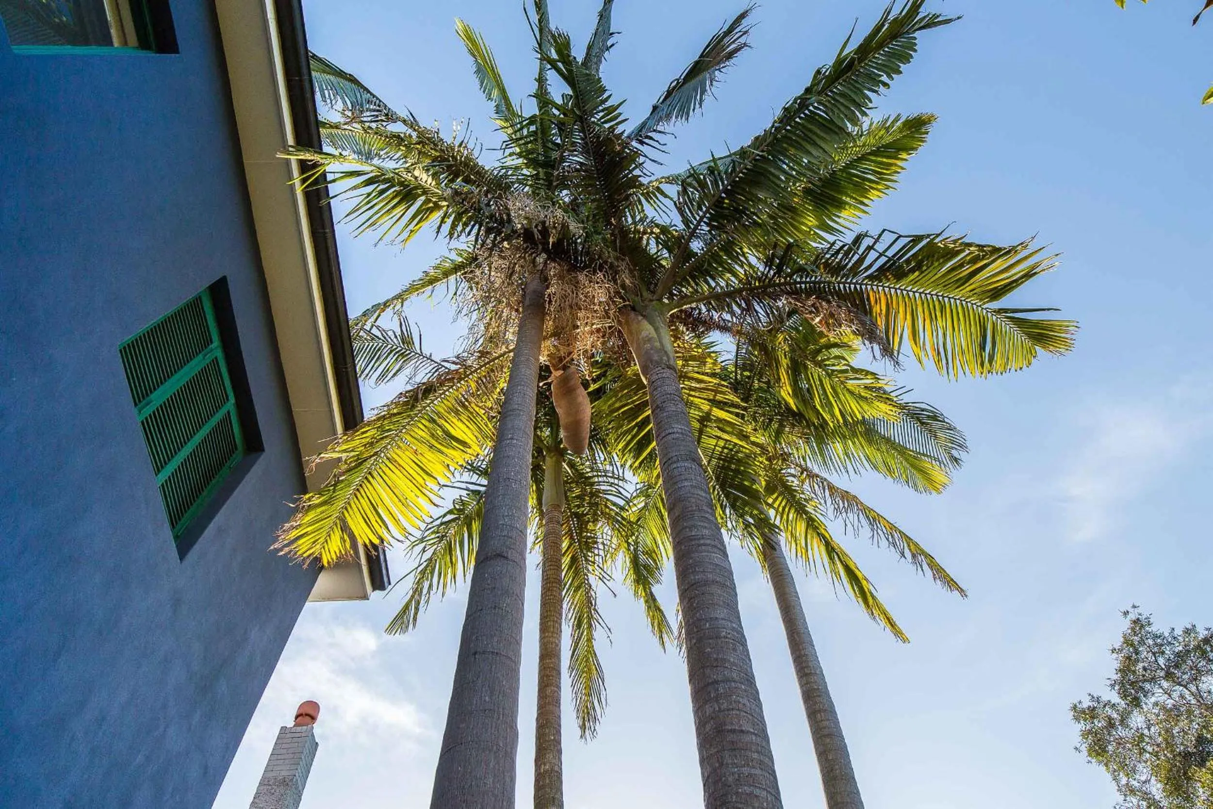 Facade/entrance in Bondi Beach House