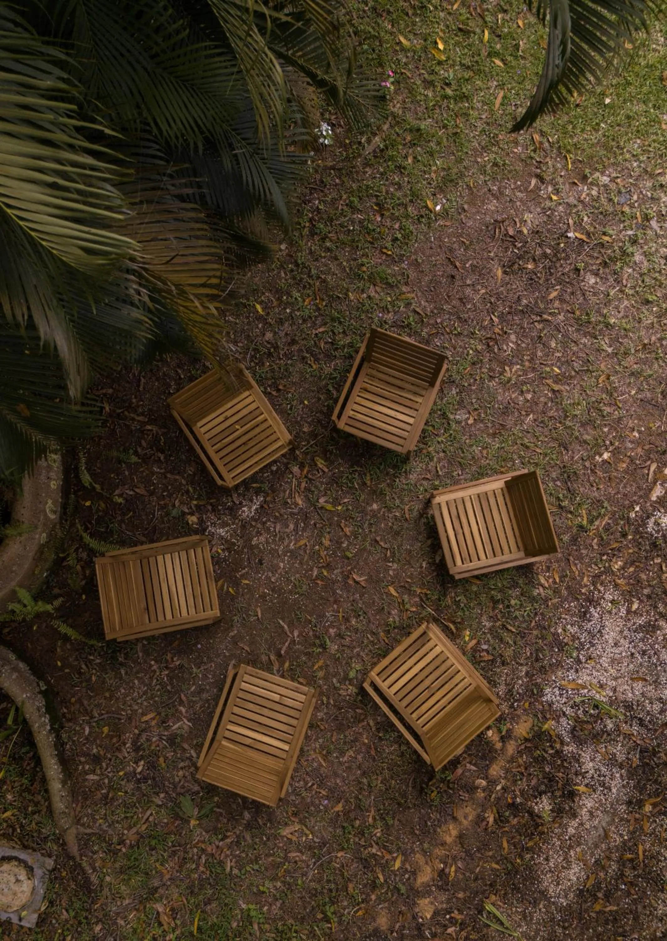 Garden in El Oasis Hotel