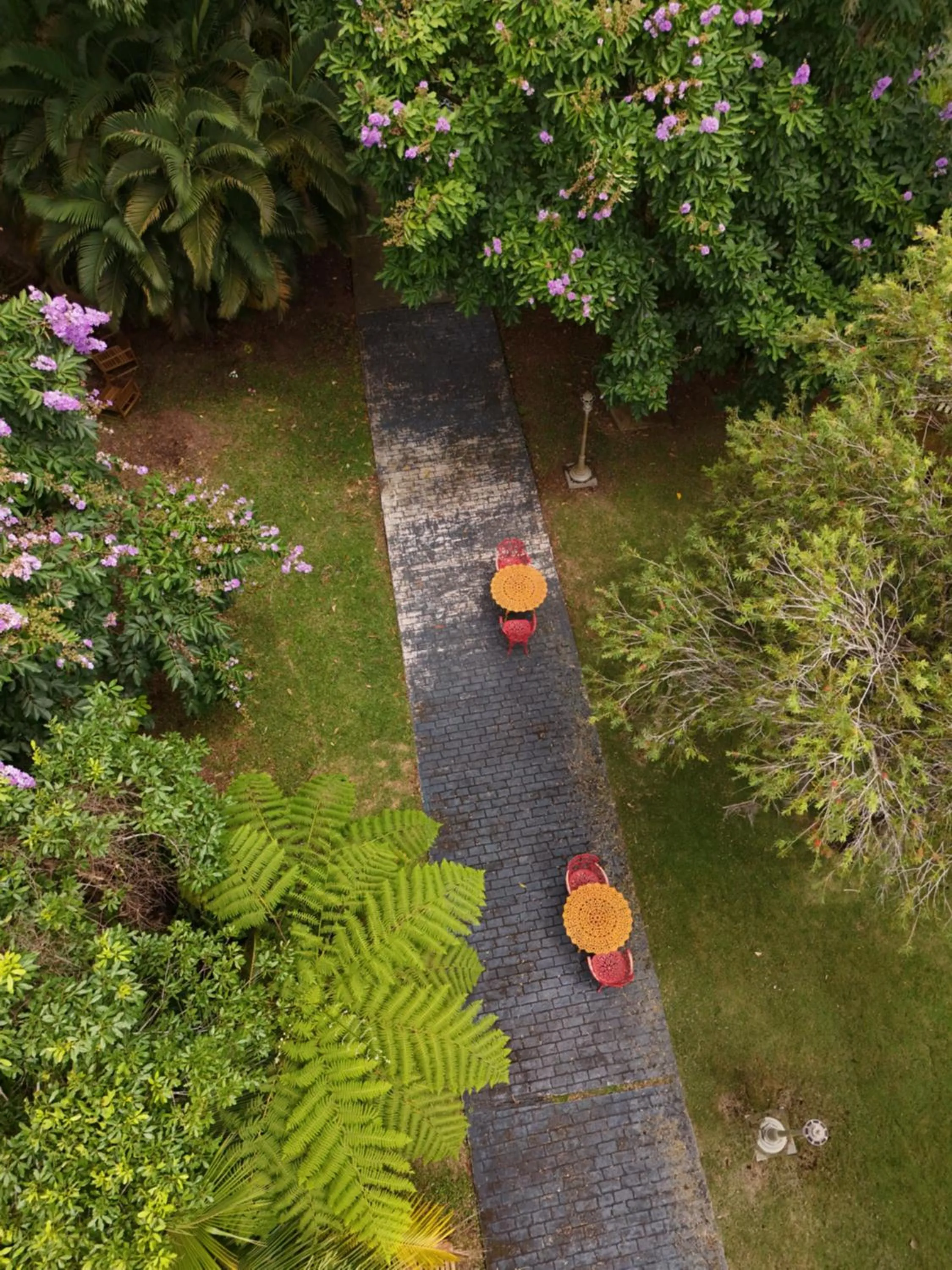 Day in El Oasis Hotel