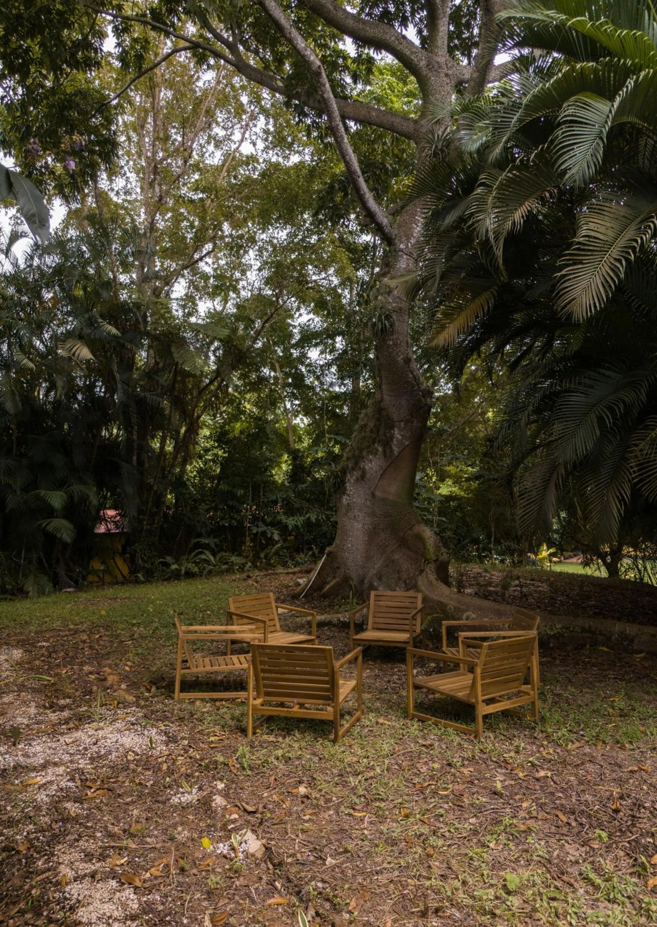 Spring in El Oasis Hotel