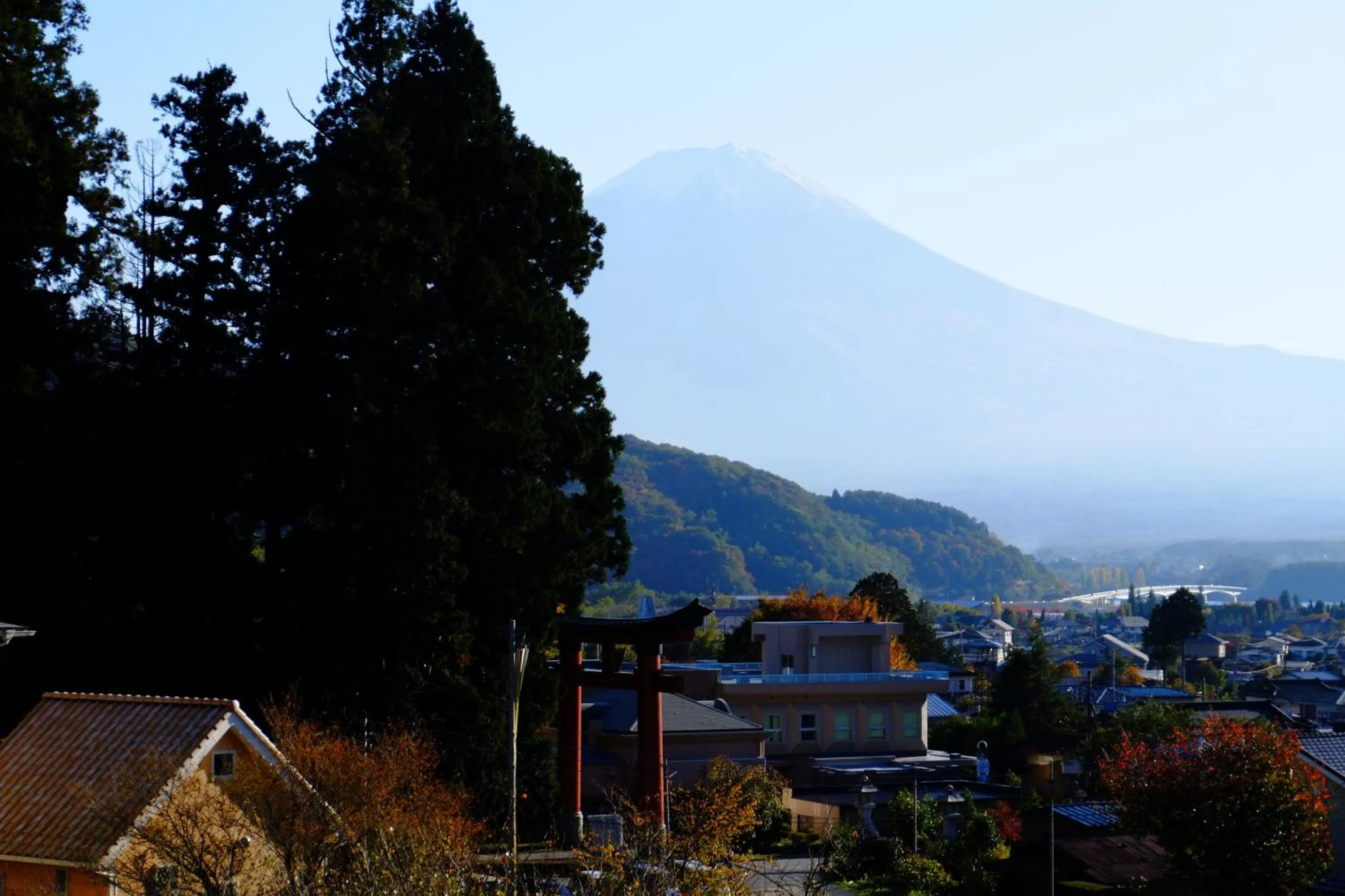 View (from property/room) in La Posada
