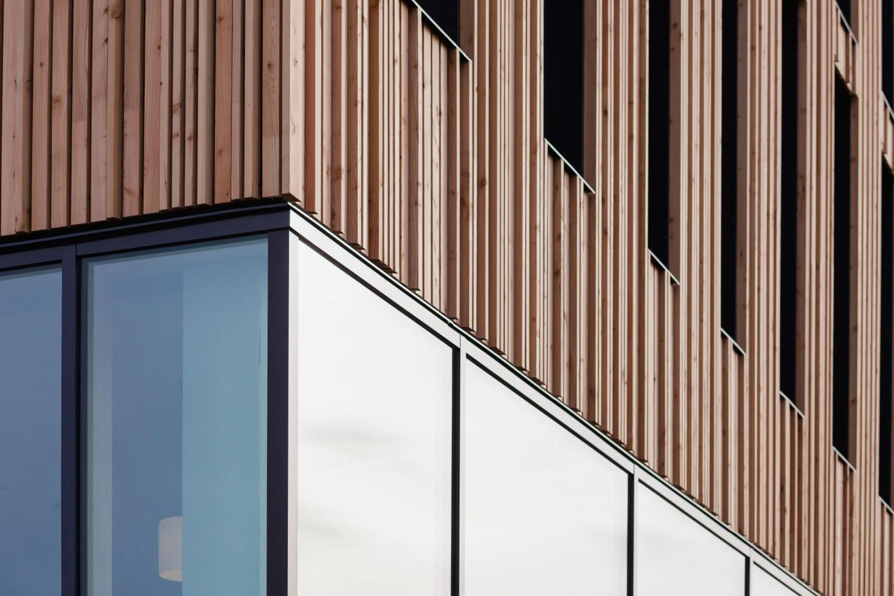 Other in Bader Hotel