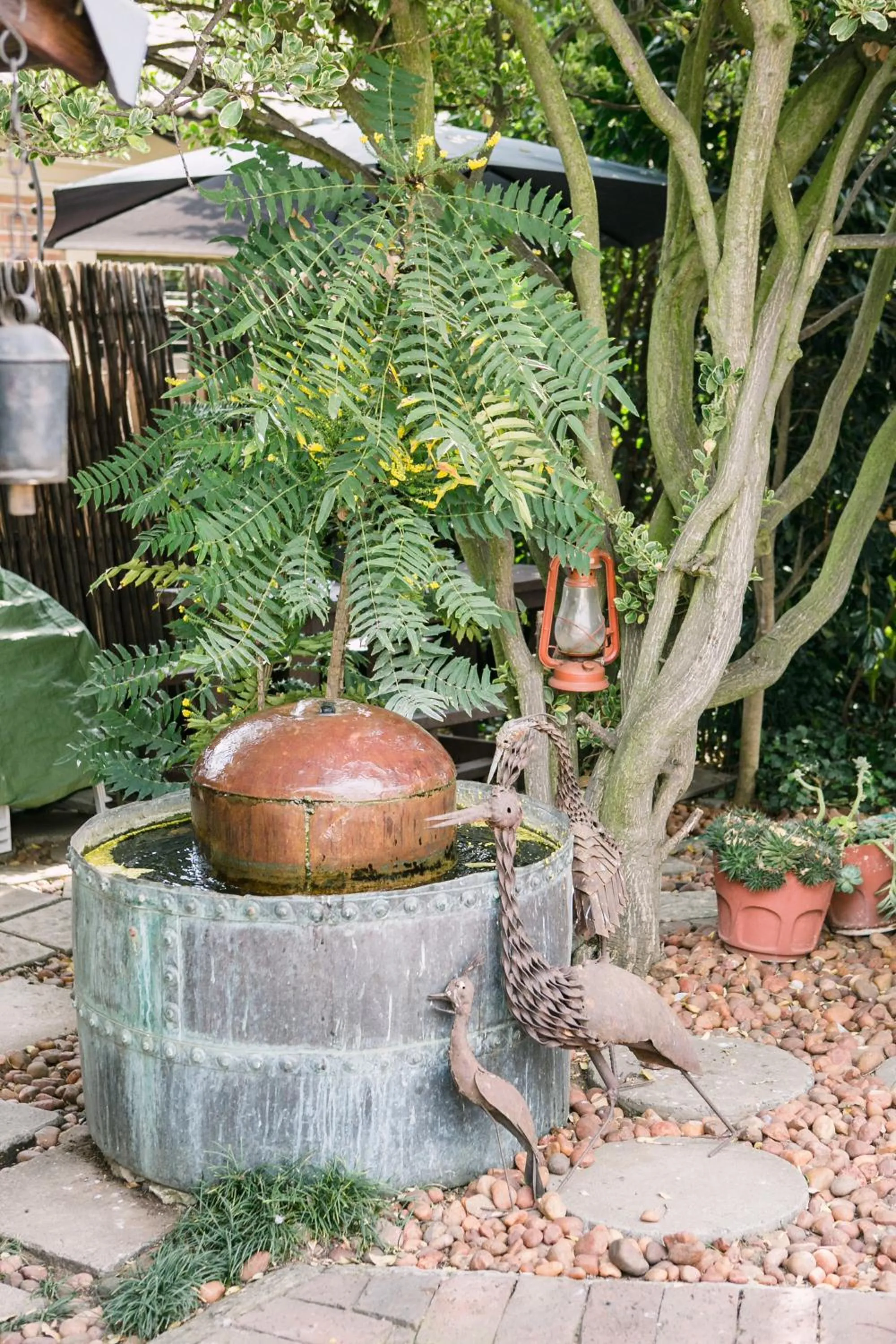 Garden in Pennylane Guest House