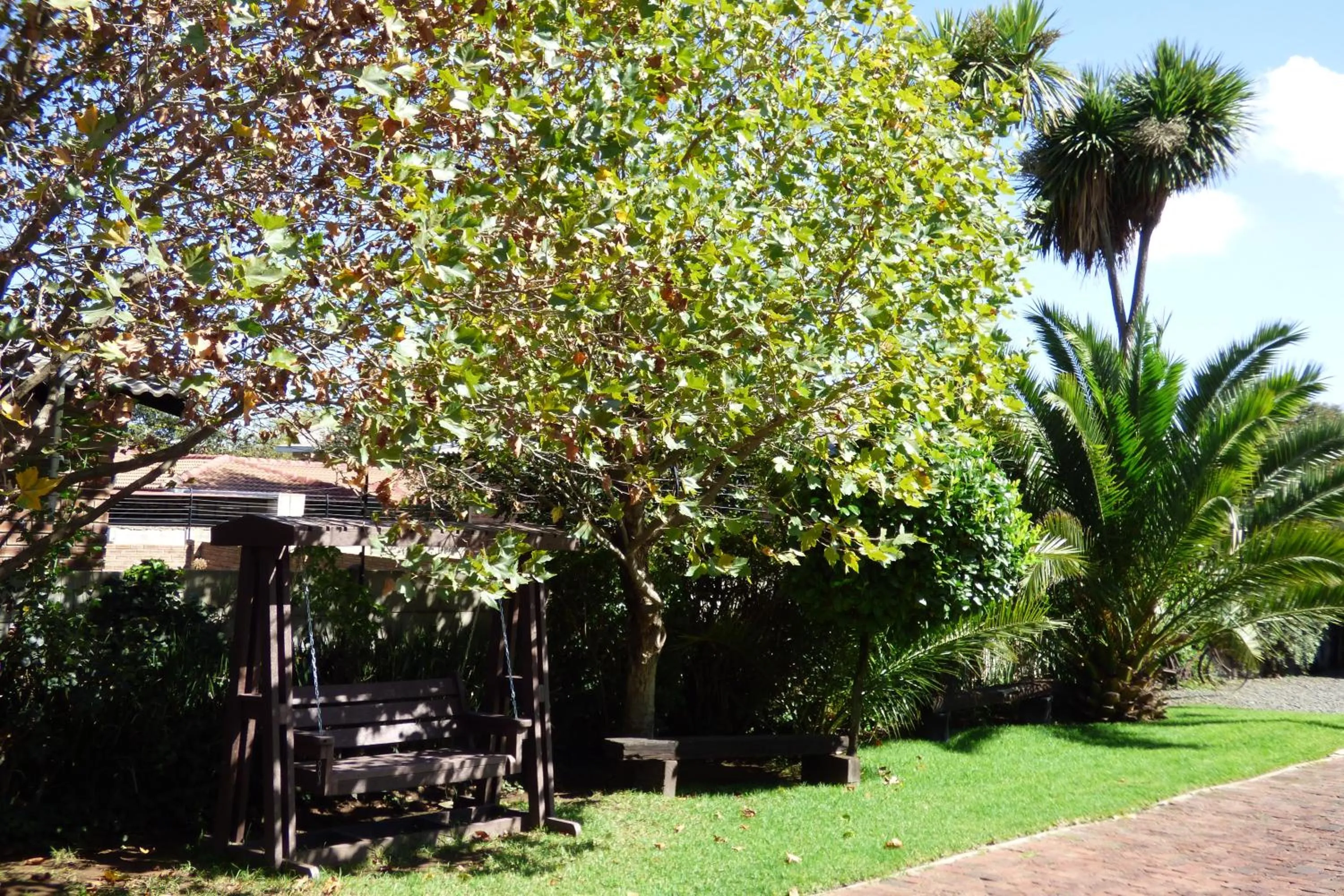 Garden in Pennylane Guest House