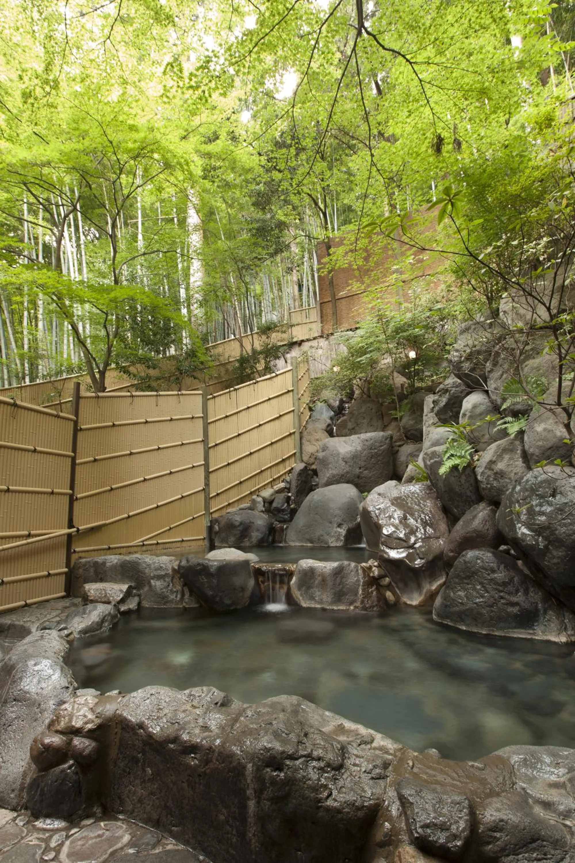 Hot Spring Bath in Iwaiyado Jyuan Nikko Kawaji onsen