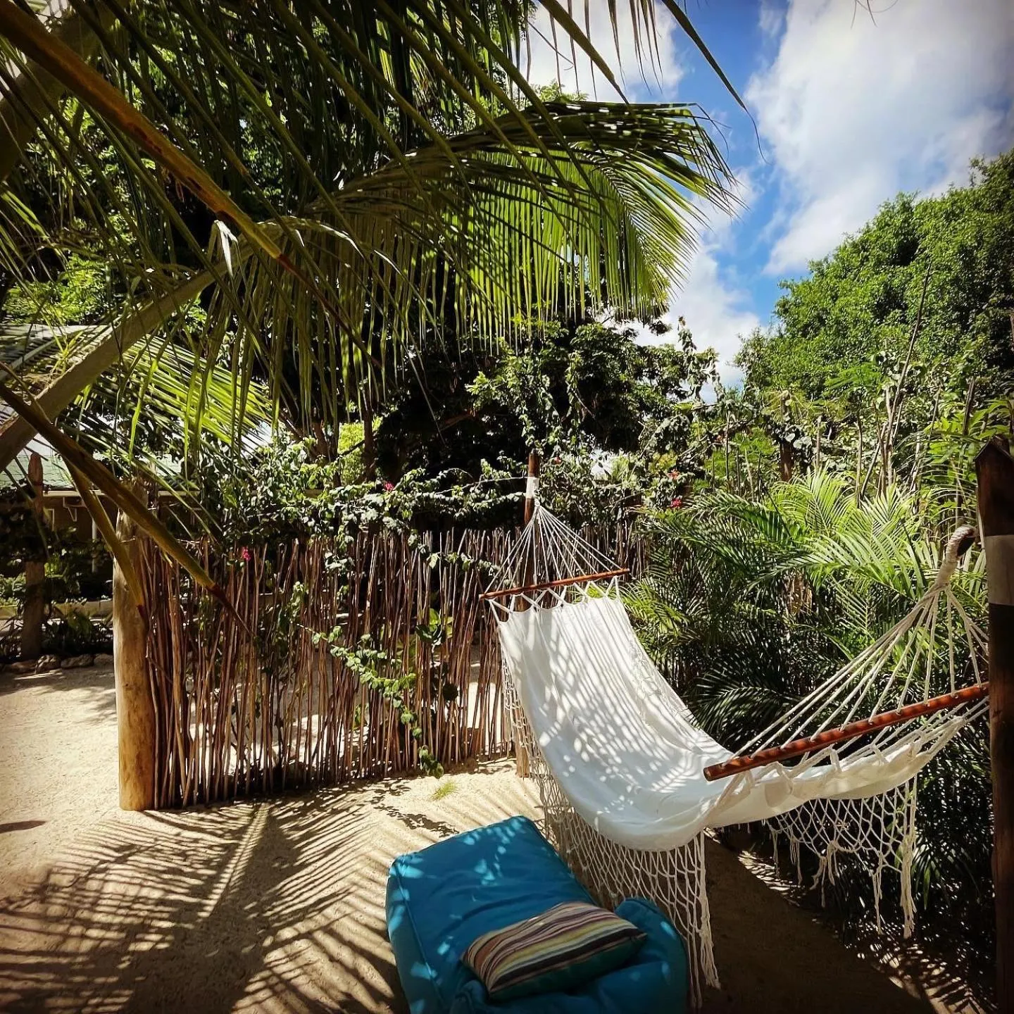 Natural landscape in Namaste Beach Club & Hotel