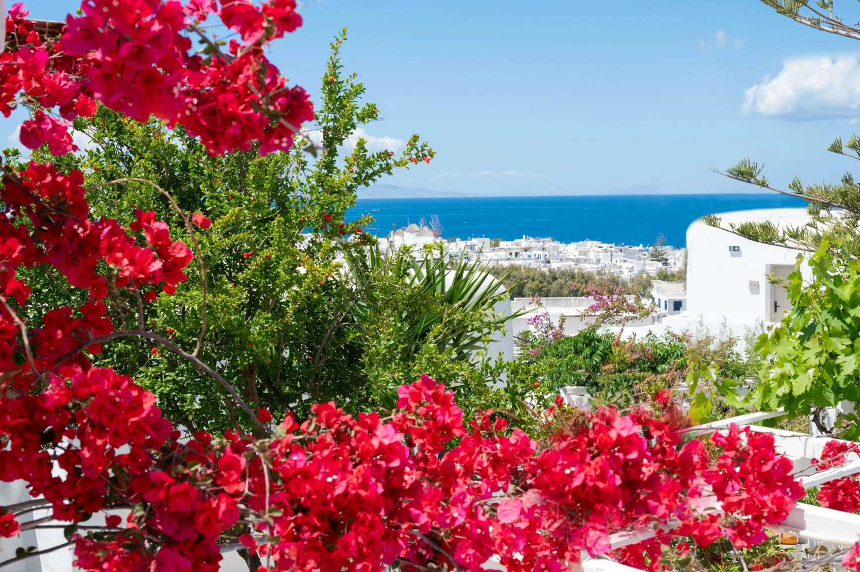 Day in Boutique di Vito