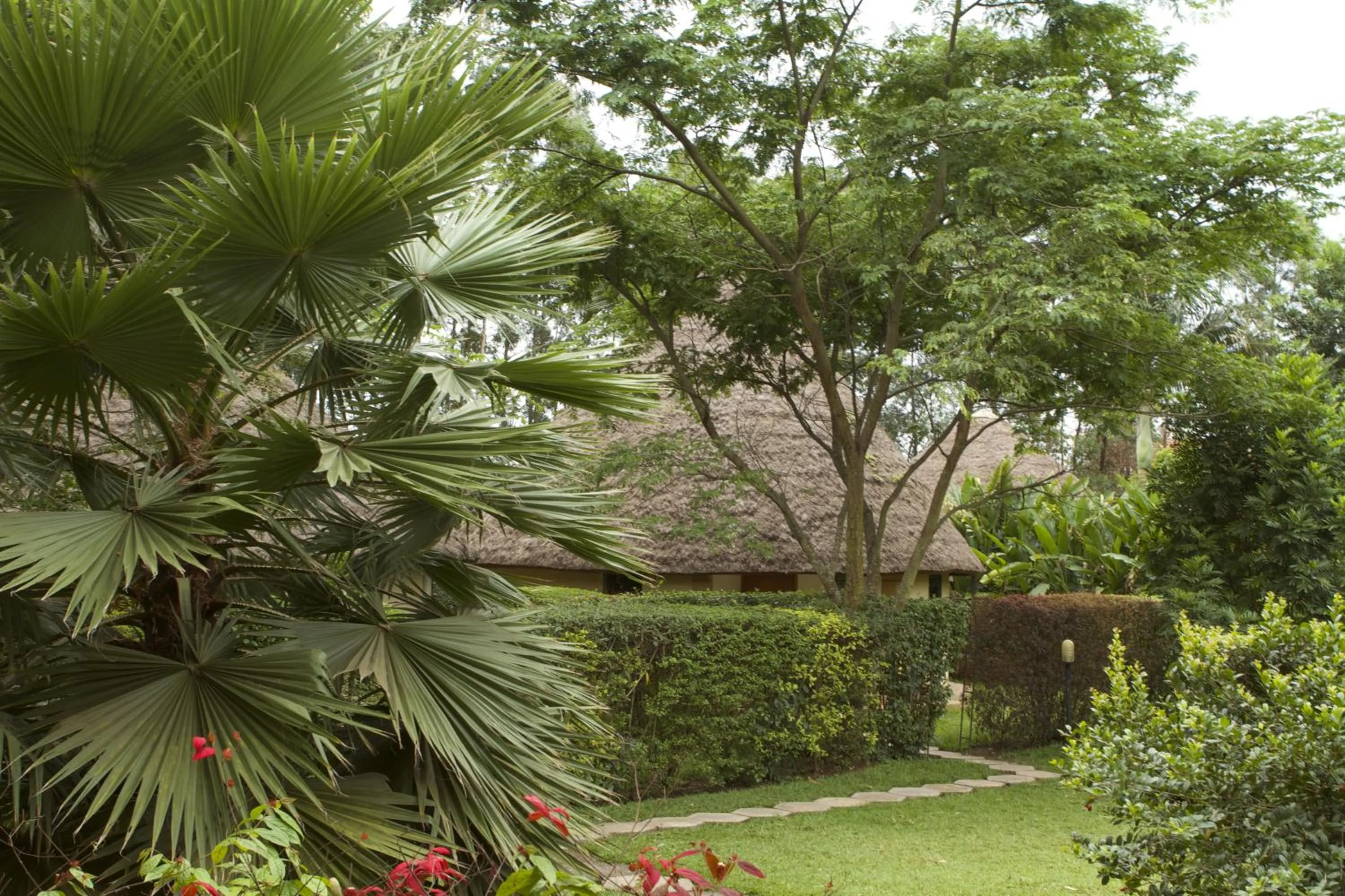 Garden in Olive Gardens Hotel Kampala