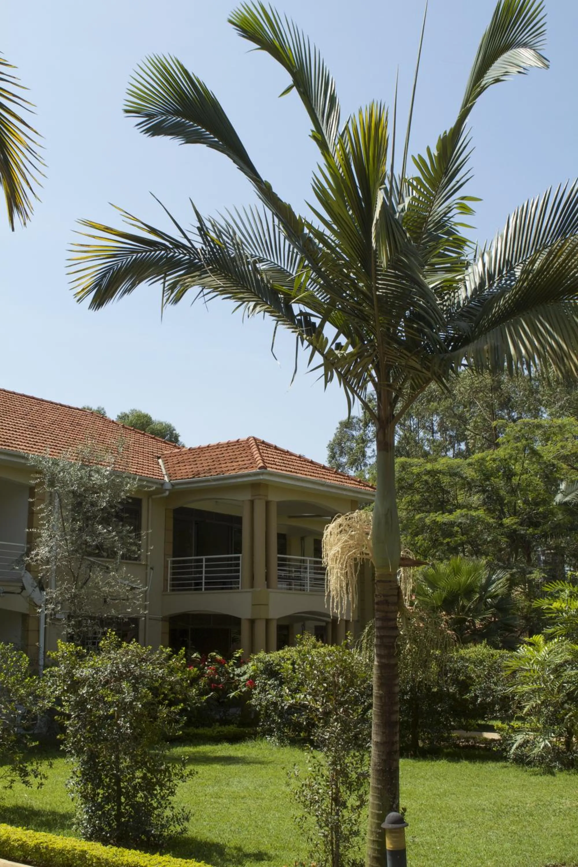 Garden in Olive Gardens Hotel Kampala