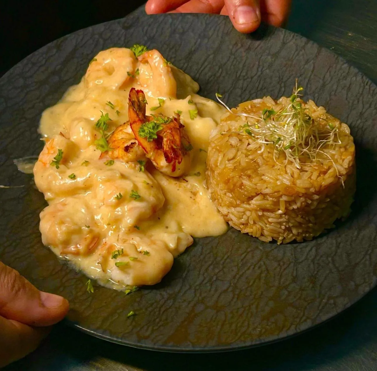 Restaurant/places to eat in Iate Plaza Hotel