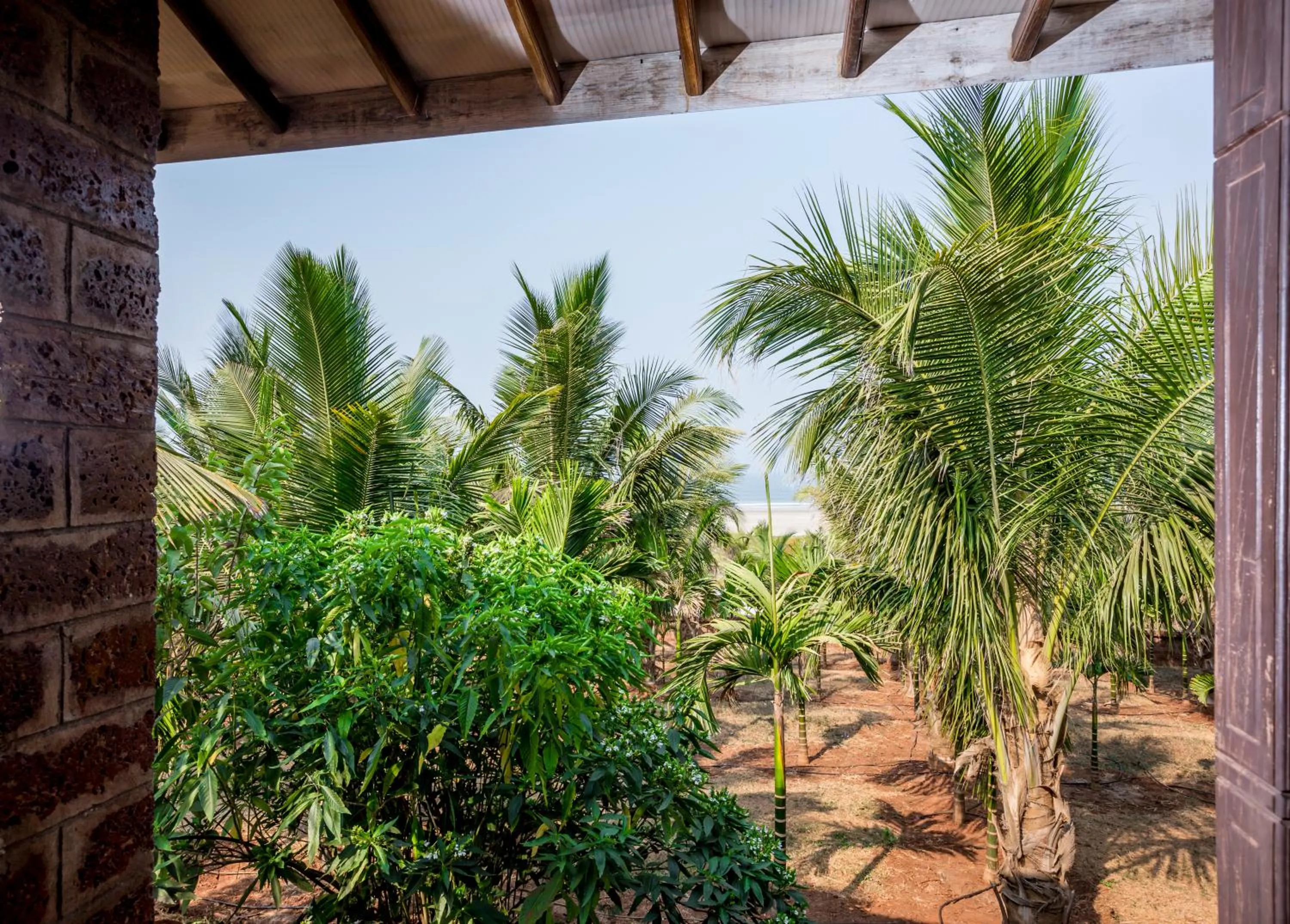 Sea view in Beachfront Villas