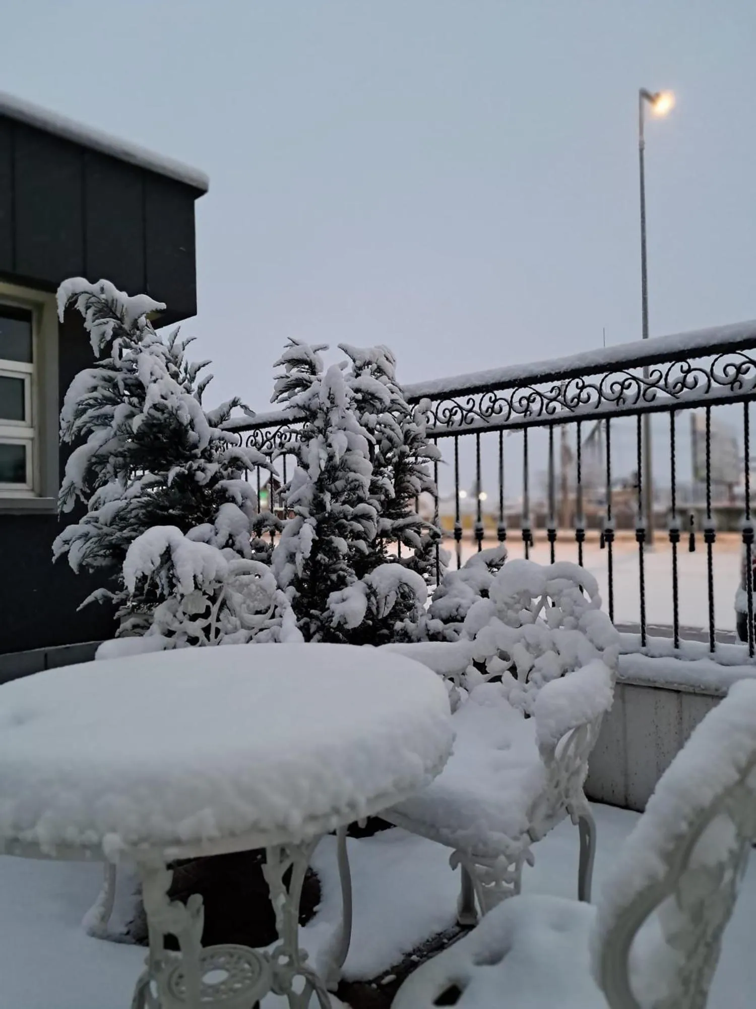 Winter in Pensiunea Diamant