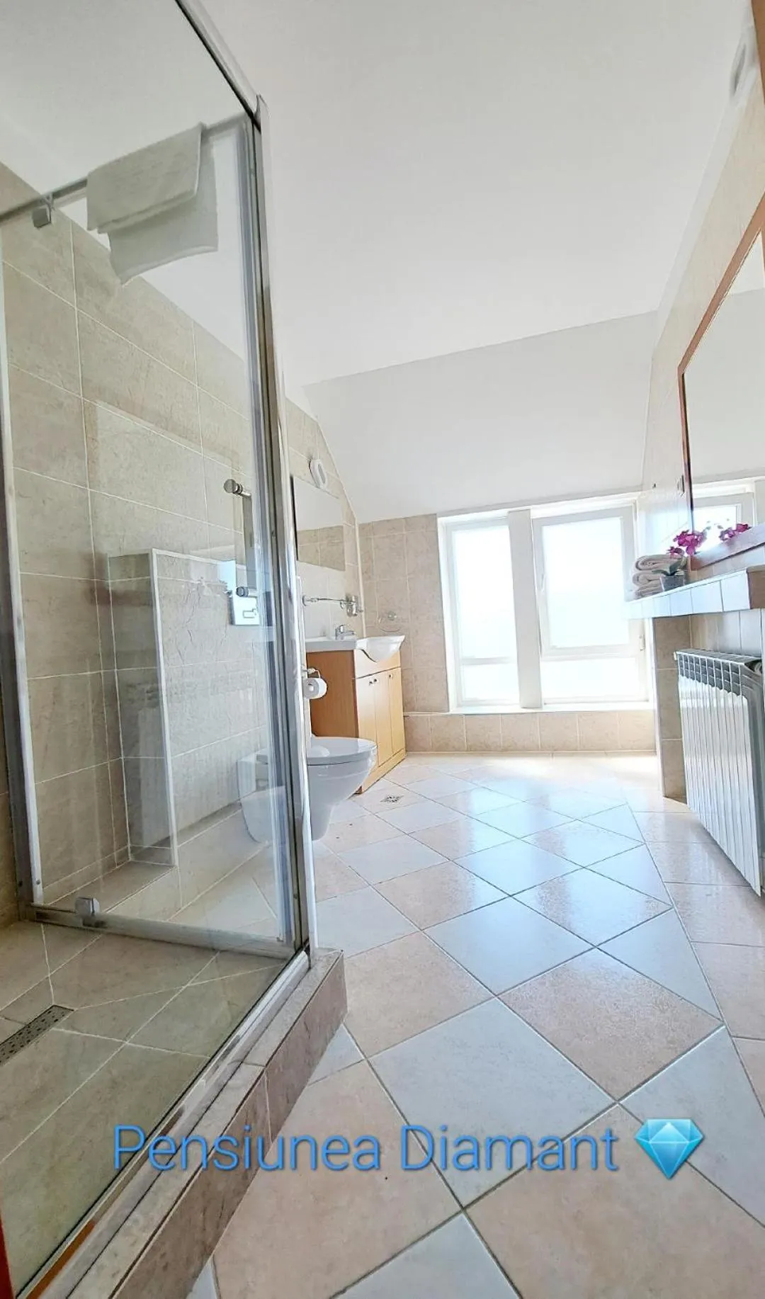 Bathroom in Pensiunea Diamant