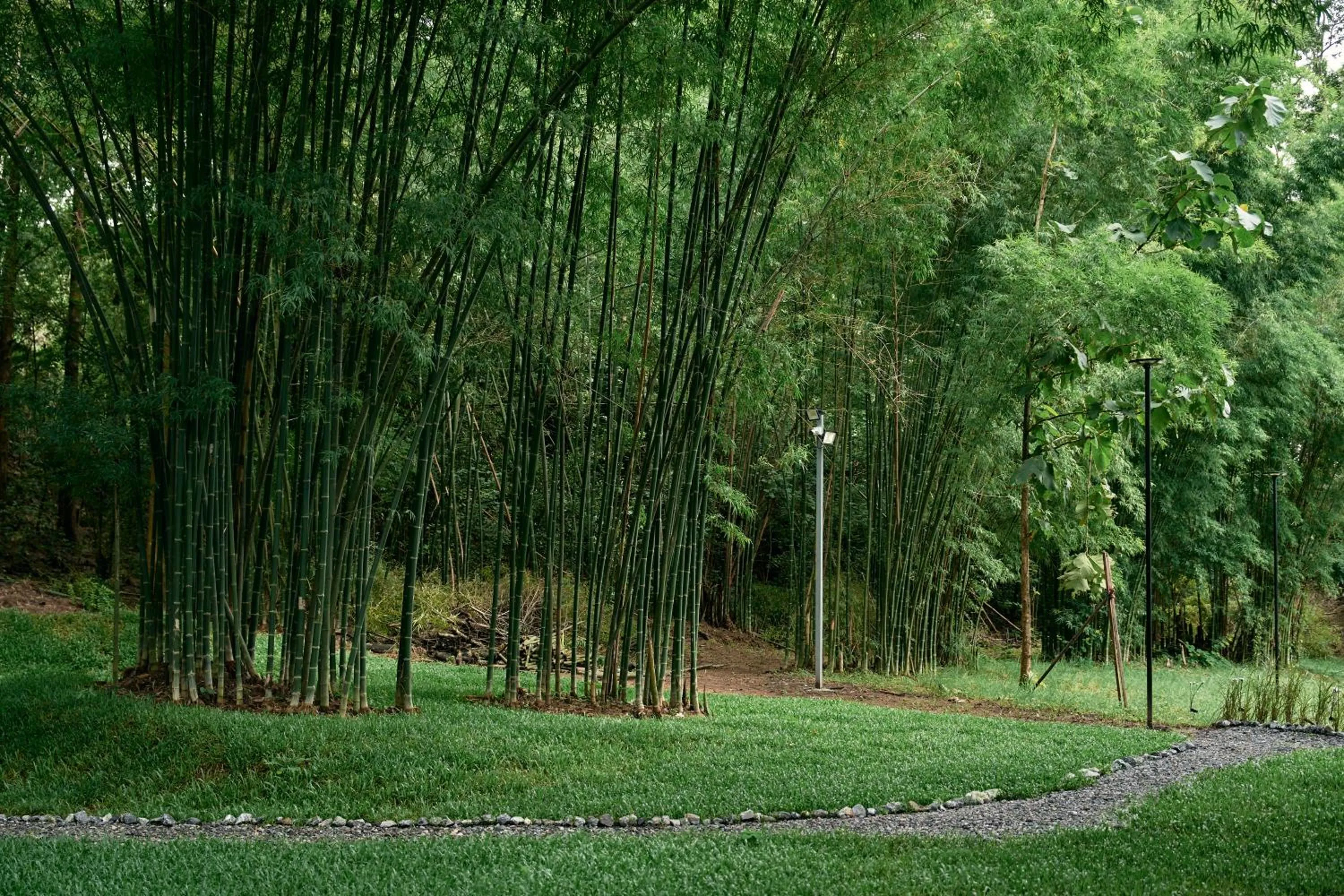 Natural landscape in Baan Rai Santisuk