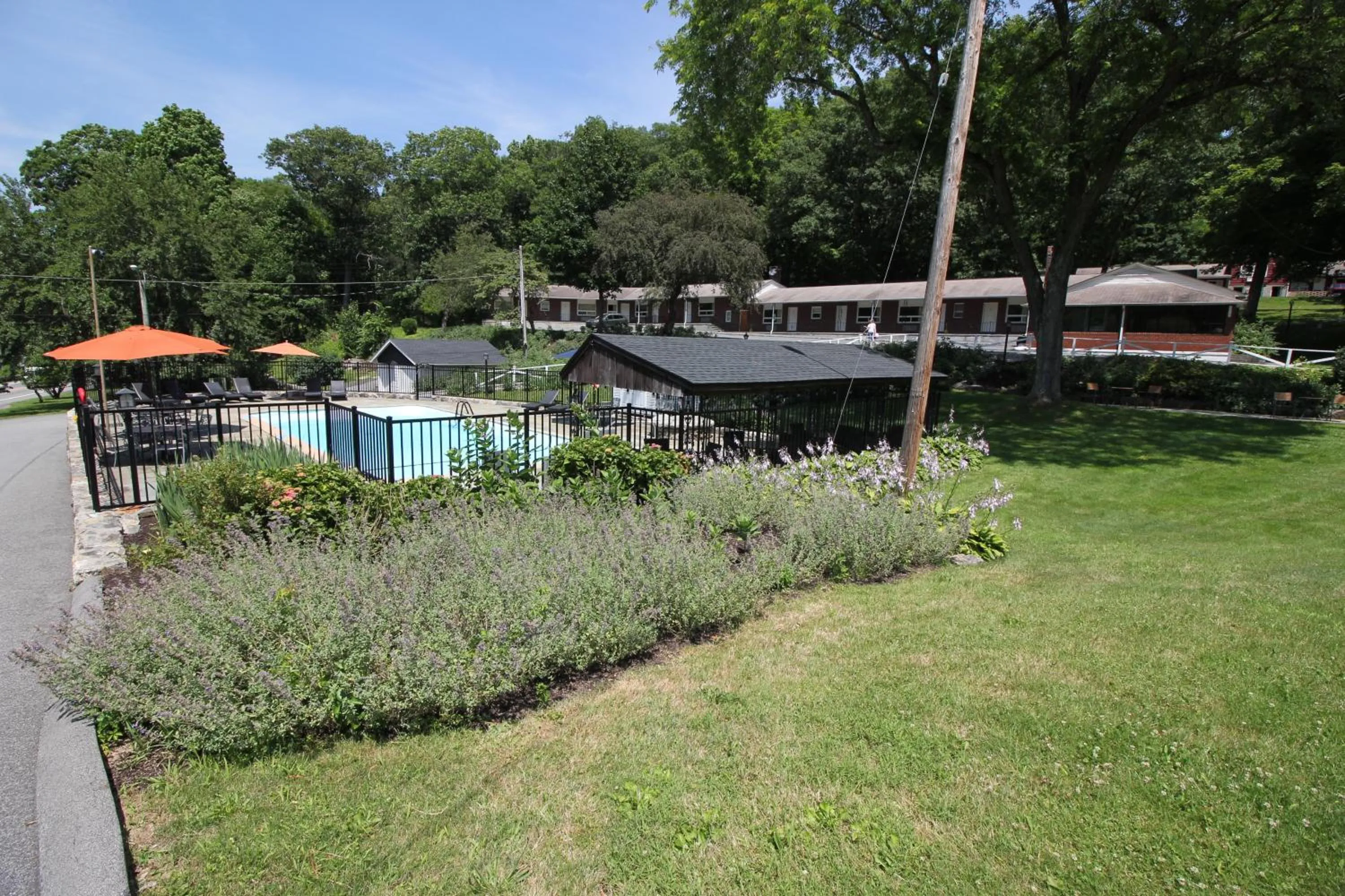 Garden view in Heidi's Inn