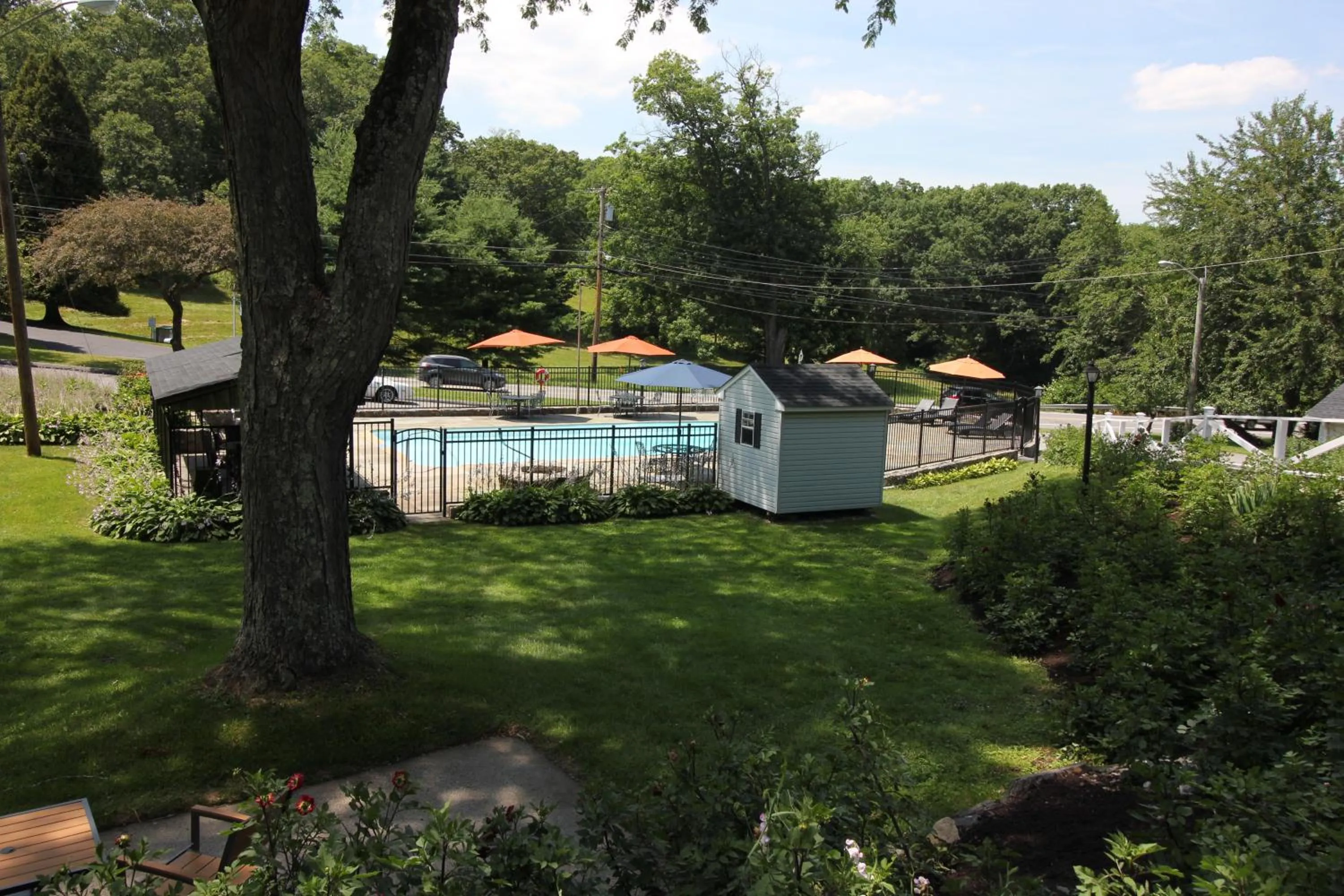 Pool view in Heidi's Inn