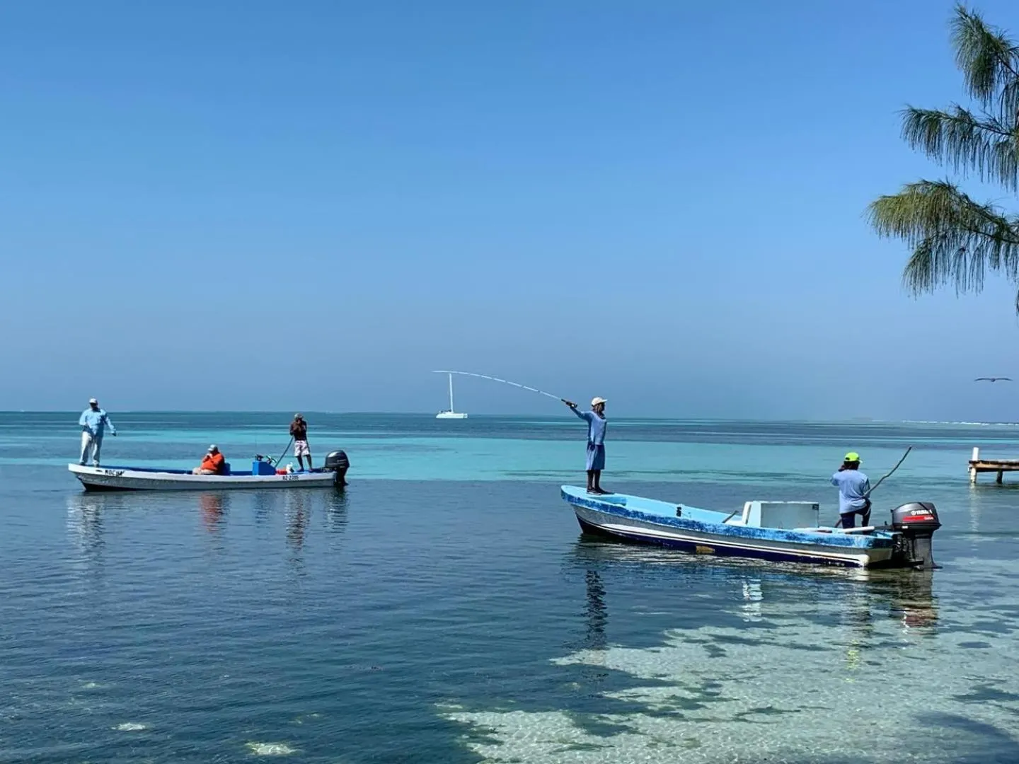 Blue Marlin Beach Resort