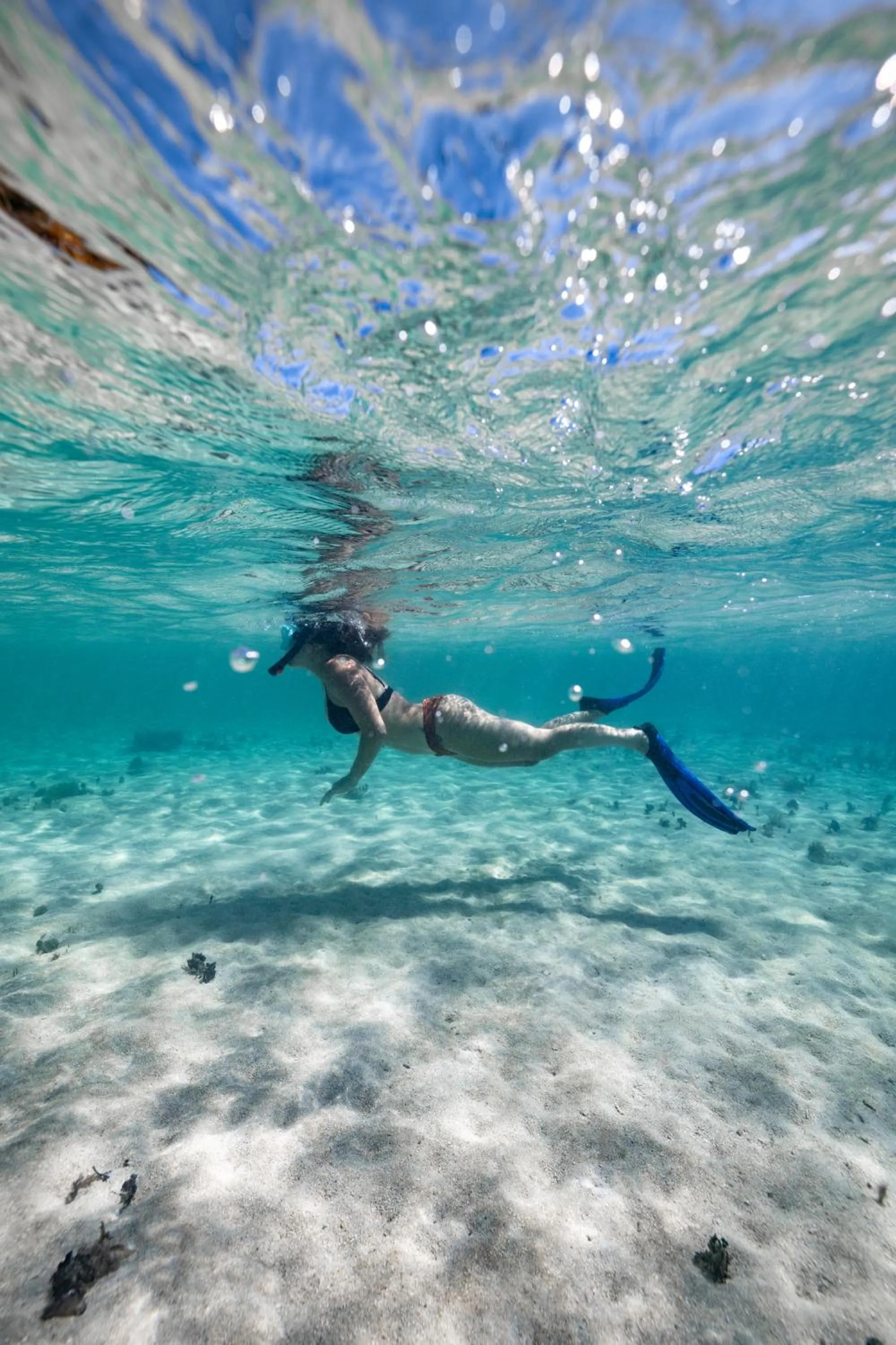 Blue Marlin Beach Resort