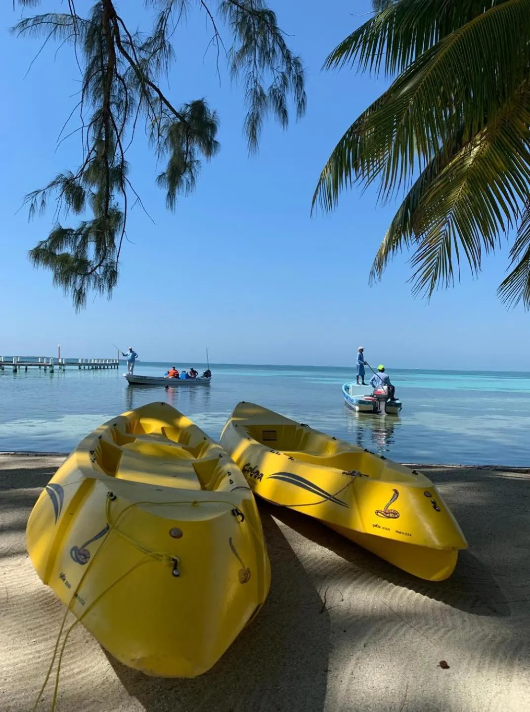 Blue Marlin Beach Resort