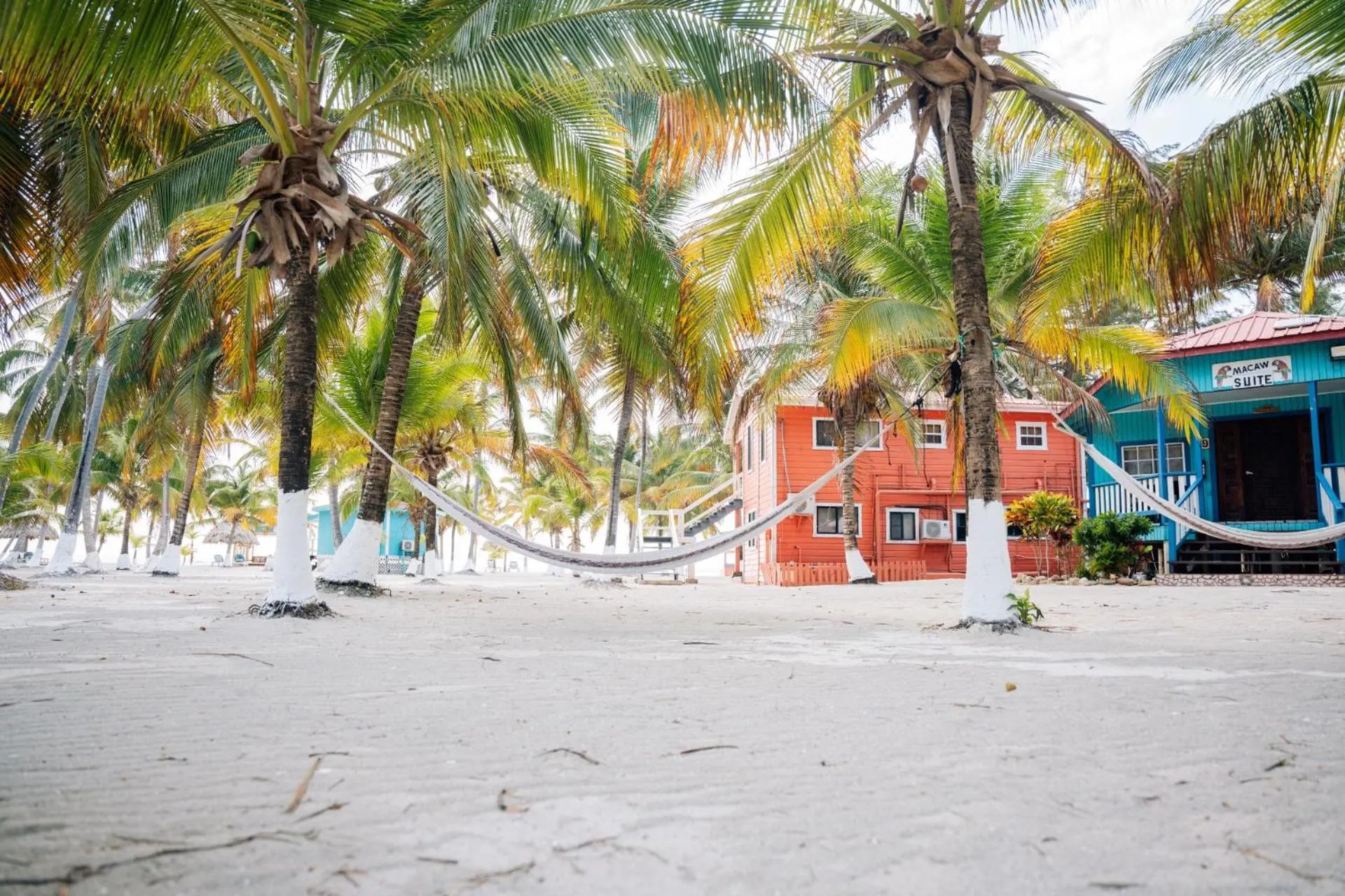 Natural landscape in Blue Marlin Beach Resort